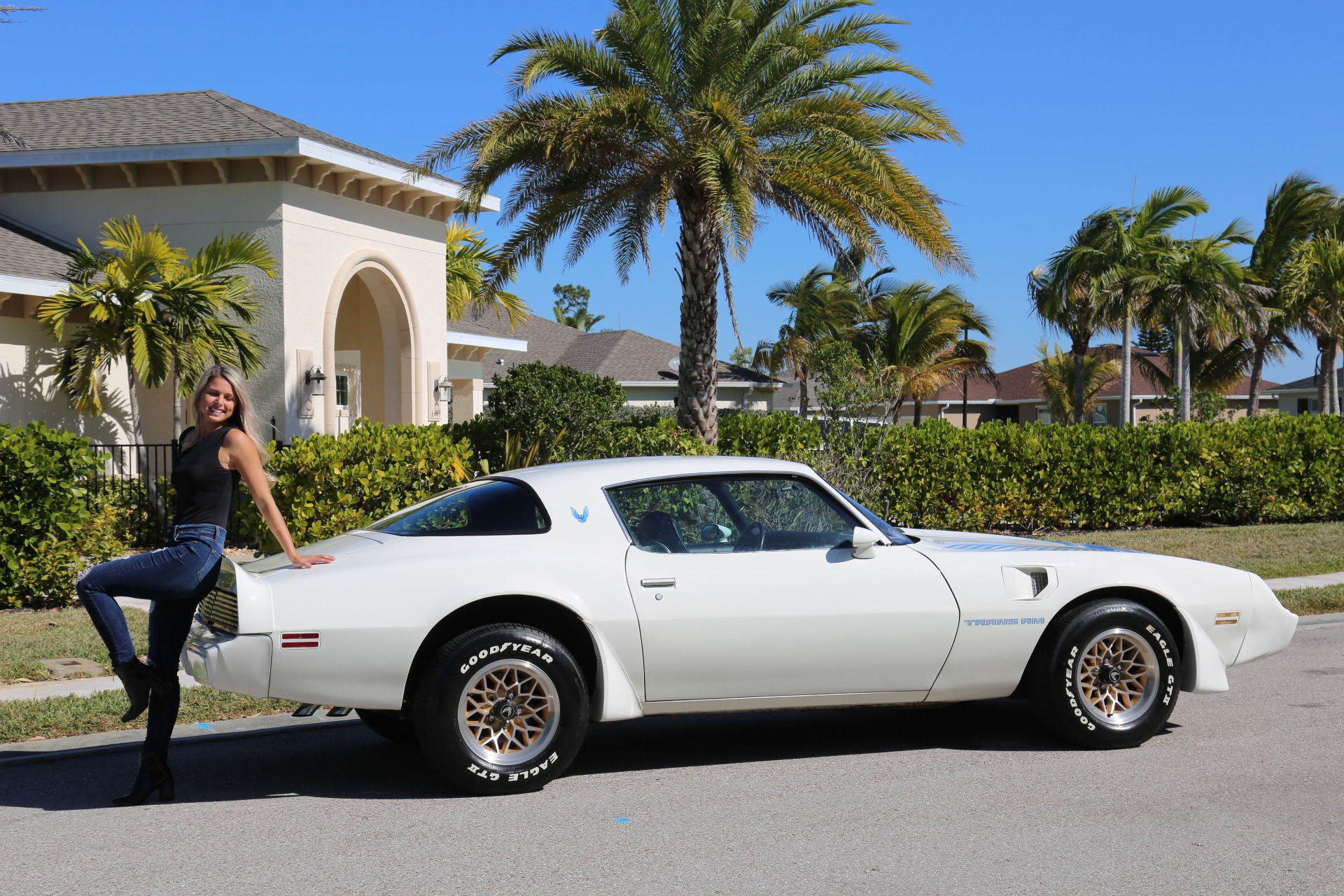 Used 1980 Pontiac Ttrans Am Trans Am for sale Sold at Muscle Cars for Sale Inc. in Fort Myers FL 33912 5