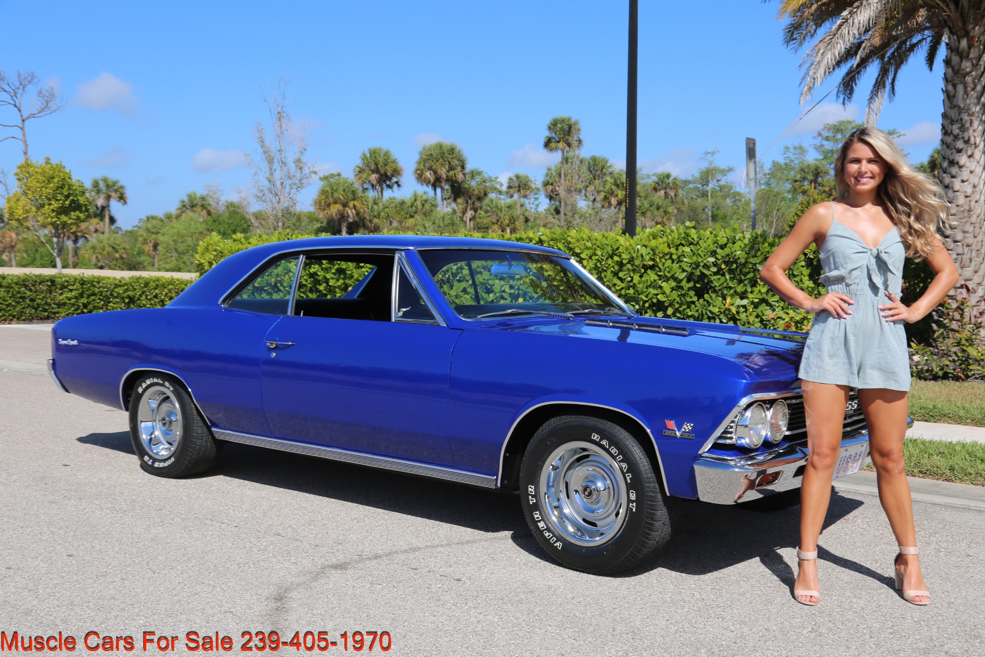 Used 1966 Chevrolet Chevelle SS SS for sale Sold at Muscle Cars for Sale Inc. in Fort Myers FL 33912 2