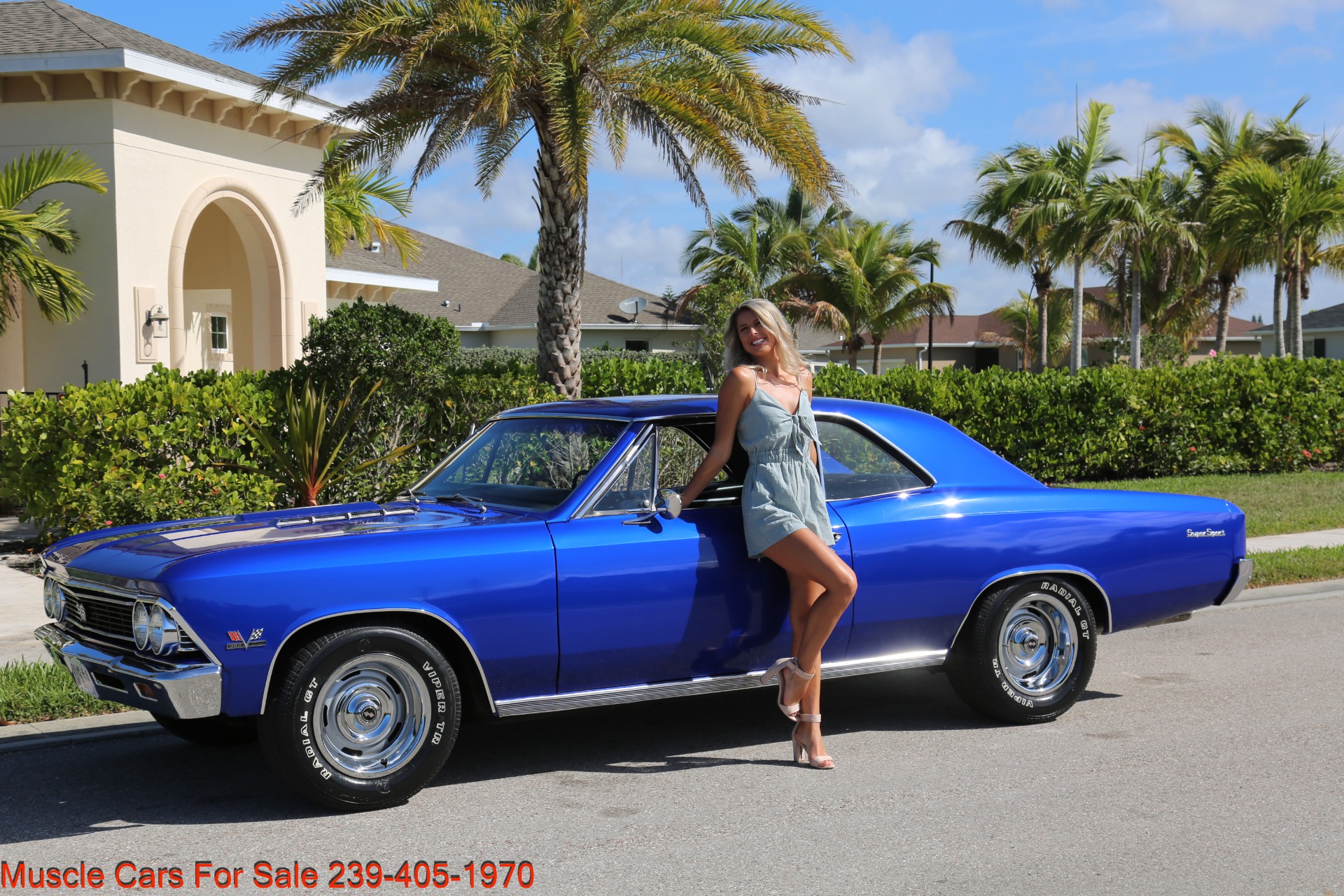 Used 1966 Chevrolet Chevelle SS SS for sale Sold at Muscle Cars for Sale Inc. in Fort Myers FL 33912 3