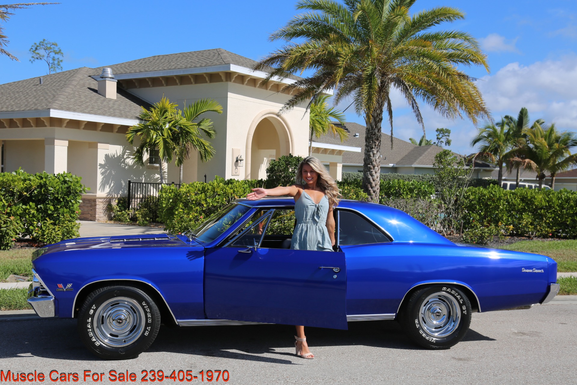 Used 1966 Chevrolet Chevelle SS SS for sale Sold at Muscle Cars for Sale Inc. in Fort Myers FL 33912 4