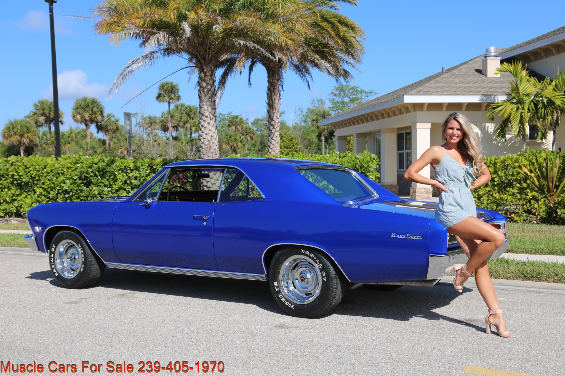 Used 1966 Chevrolet Chevelle SS SS for sale Sold at Muscle Cars for Sale Inc. in Fort Myers FL 33912 5