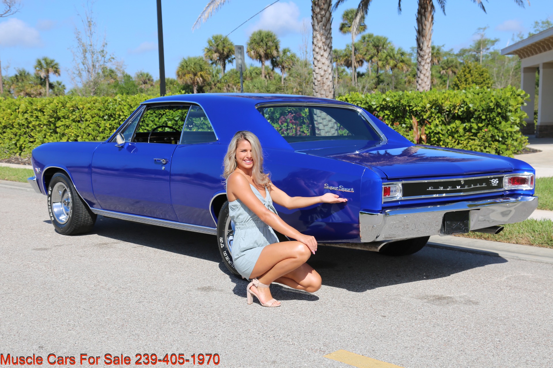 Used 1966 Chevrolet Chevelle SS SS for sale Sold at Muscle Cars for Sale Inc. in Fort Myers FL 33912 6