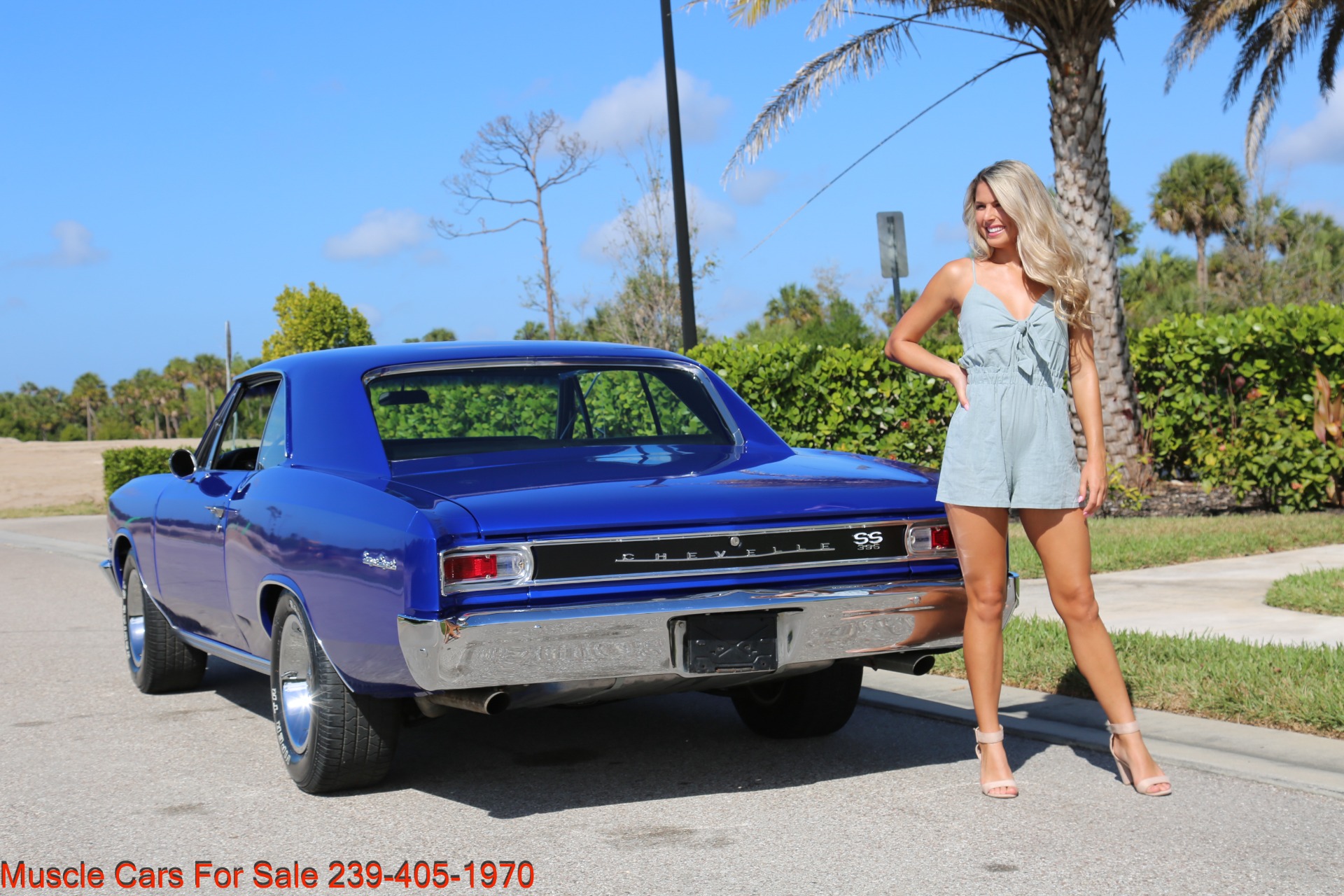 Used 1966 Chevrolet Chevelle SS SS for sale Sold at Muscle Cars for Sale Inc. in Fort Myers FL 33912 7