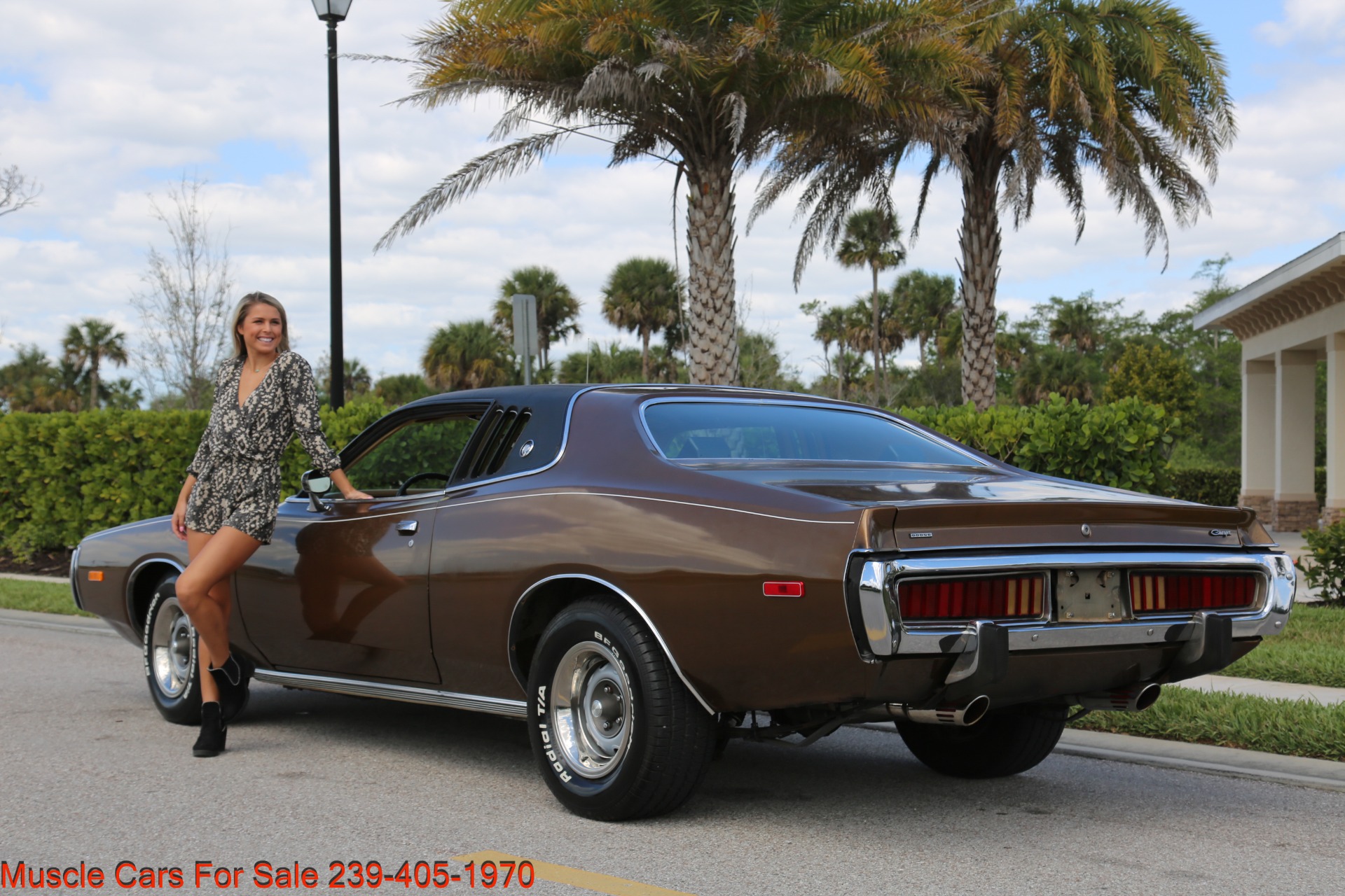 Used 1973 Dodge Charger 500 SE for sale Sold at Muscle Cars for Sale Inc. in Fort Myers FL 33912 8