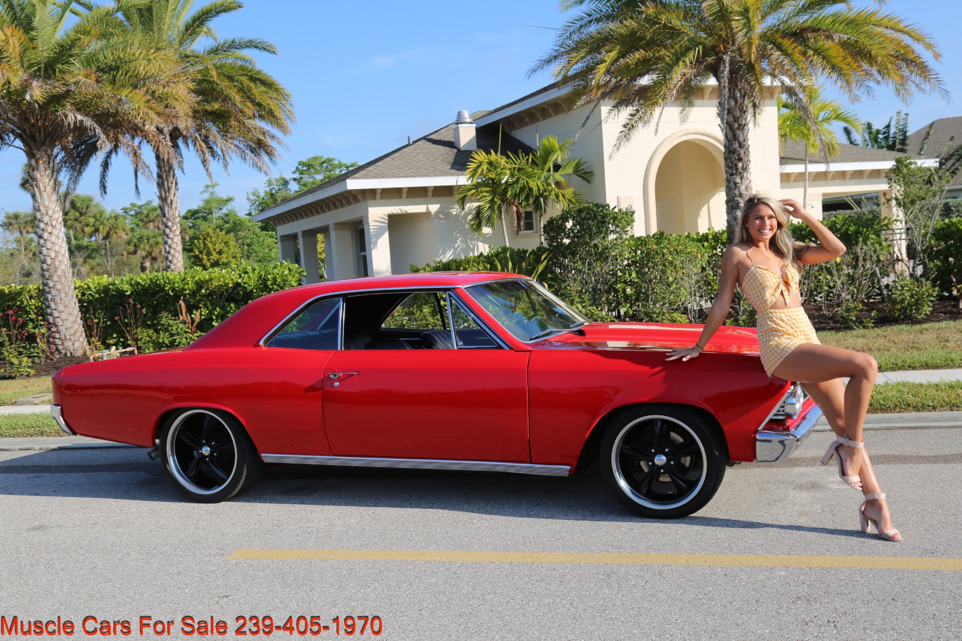 Used 1966 Chevrolet Chevelle for sale Sold at Muscle Cars for Sale Inc. in Fort Myers FL 33912 2