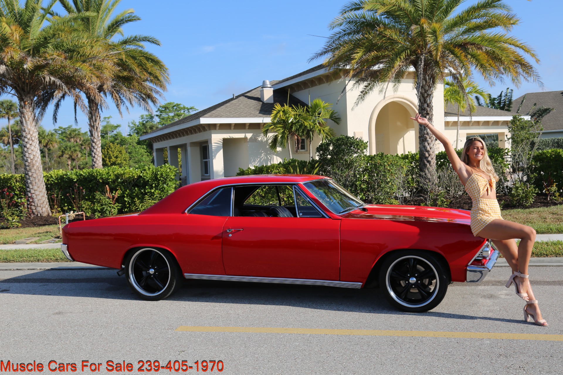 Used 1966 Chevrolet Chevelle for sale Sold at Muscle Cars for Sale Inc. in Fort Myers FL 33912 5