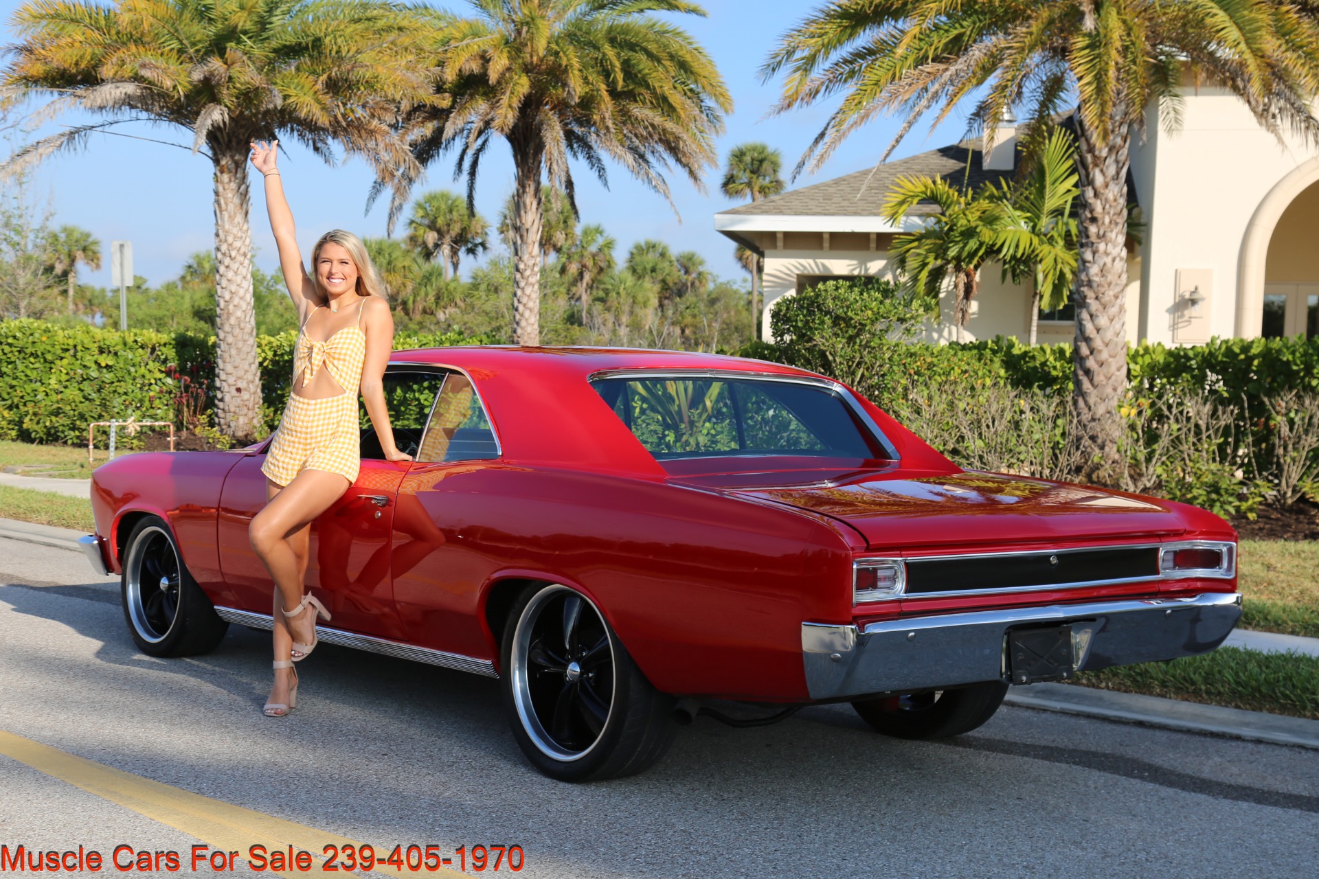 Used 1966 Chevrolet Chevelle for sale Sold at Muscle Cars for Sale Inc. in Fort Myers FL 33912 6