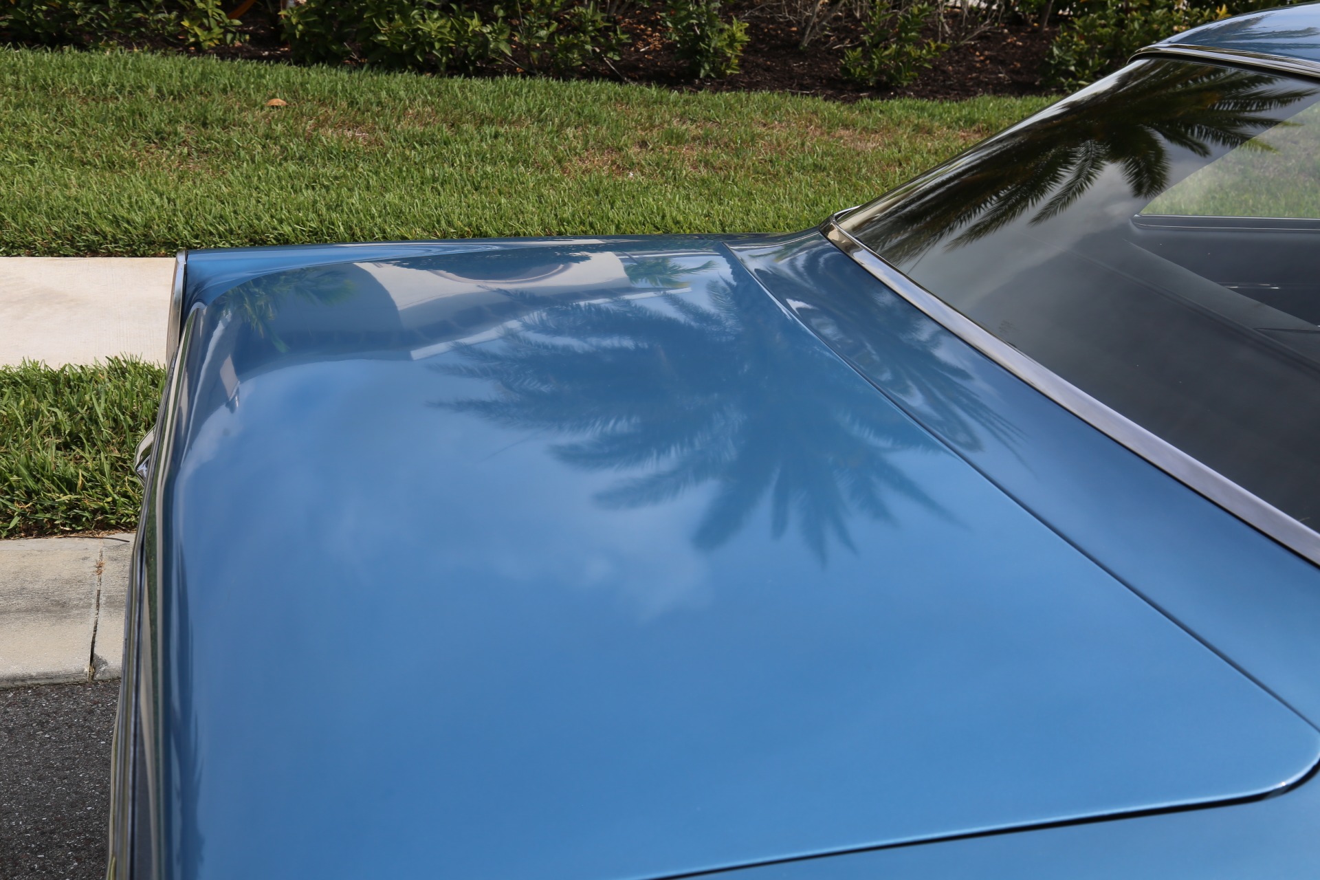 Used 1966 Chevy Nova SS for sale Sold at Muscle Cars for Sale Inc. in Fort Myers FL 33912 6