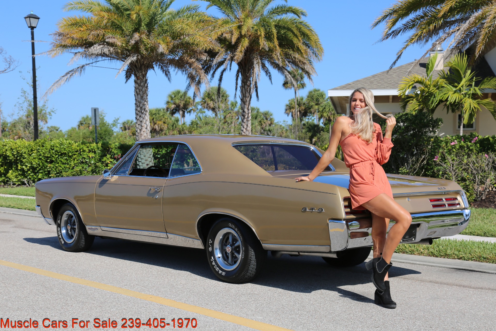 Used 1967 Pontiac GTO GTO for sale Sold at Muscle Cars for Sale Inc. in Fort Myers FL 33912 5