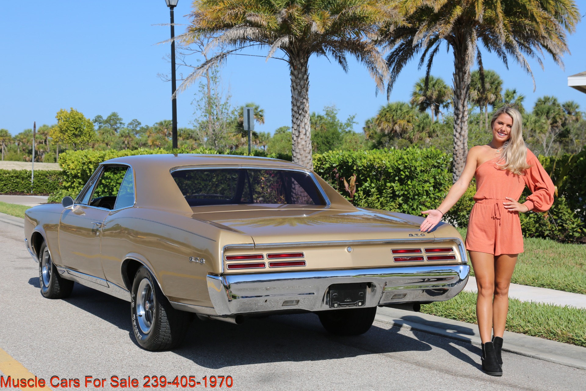 Used 1967 Pontiac GTO GTO for sale Sold at Muscle Cars for Sale Inc. in Fort Myers FL 33912 6