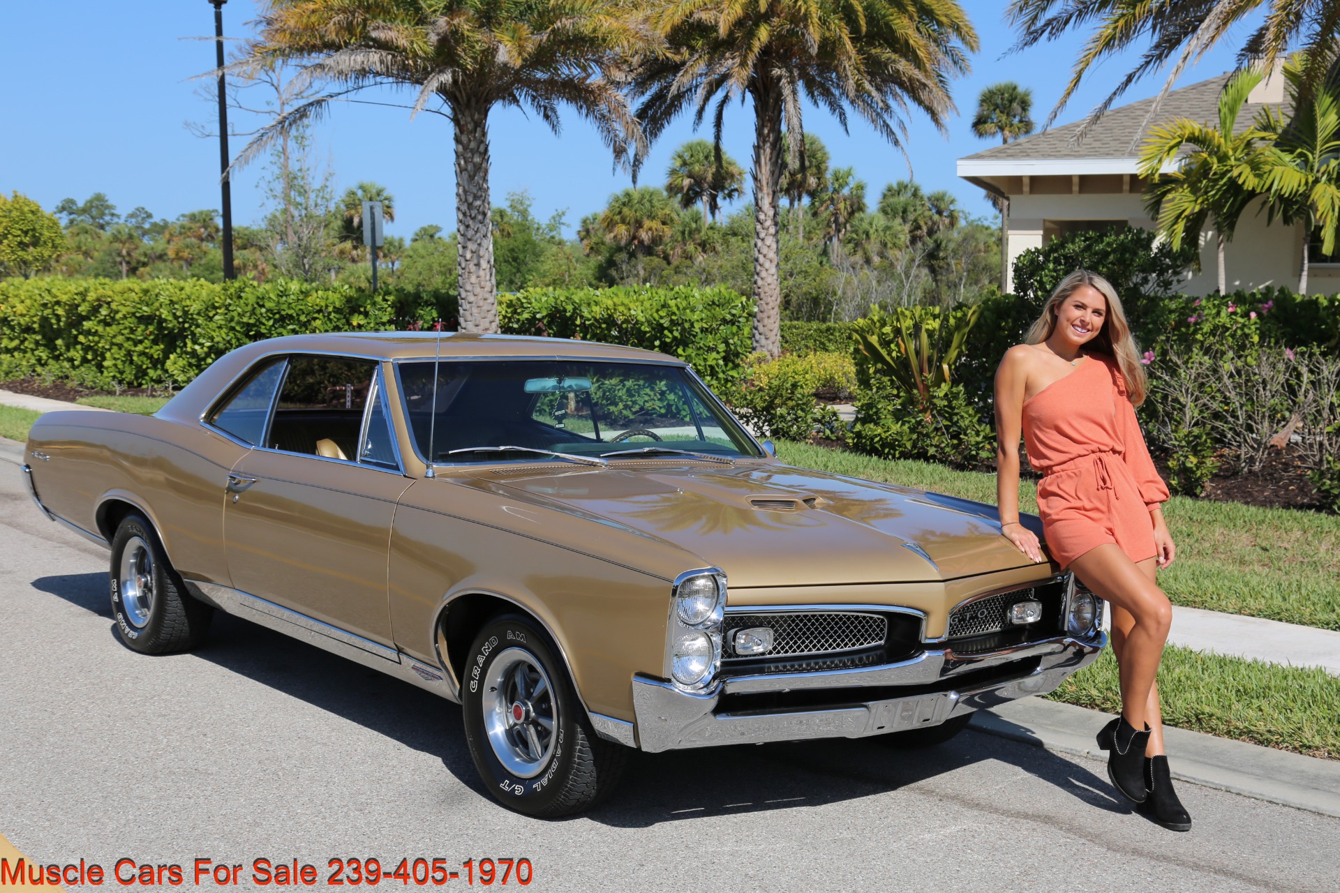 Used 1967 Pontiac GTO GTO for sale Sold at Muscle Cars for Sale Inc. in Fort Myers FL 33912 1