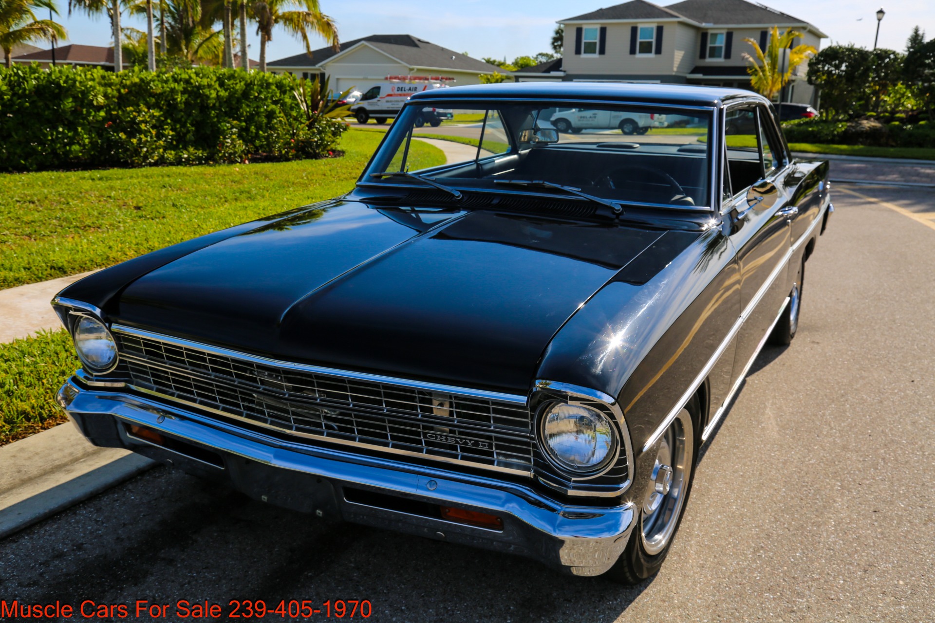 Used 1967 Chevrolet Nova V8 Auto for sale Sold at Muscle Cars for Sale Inc. in Fort Myers FL 33912 6