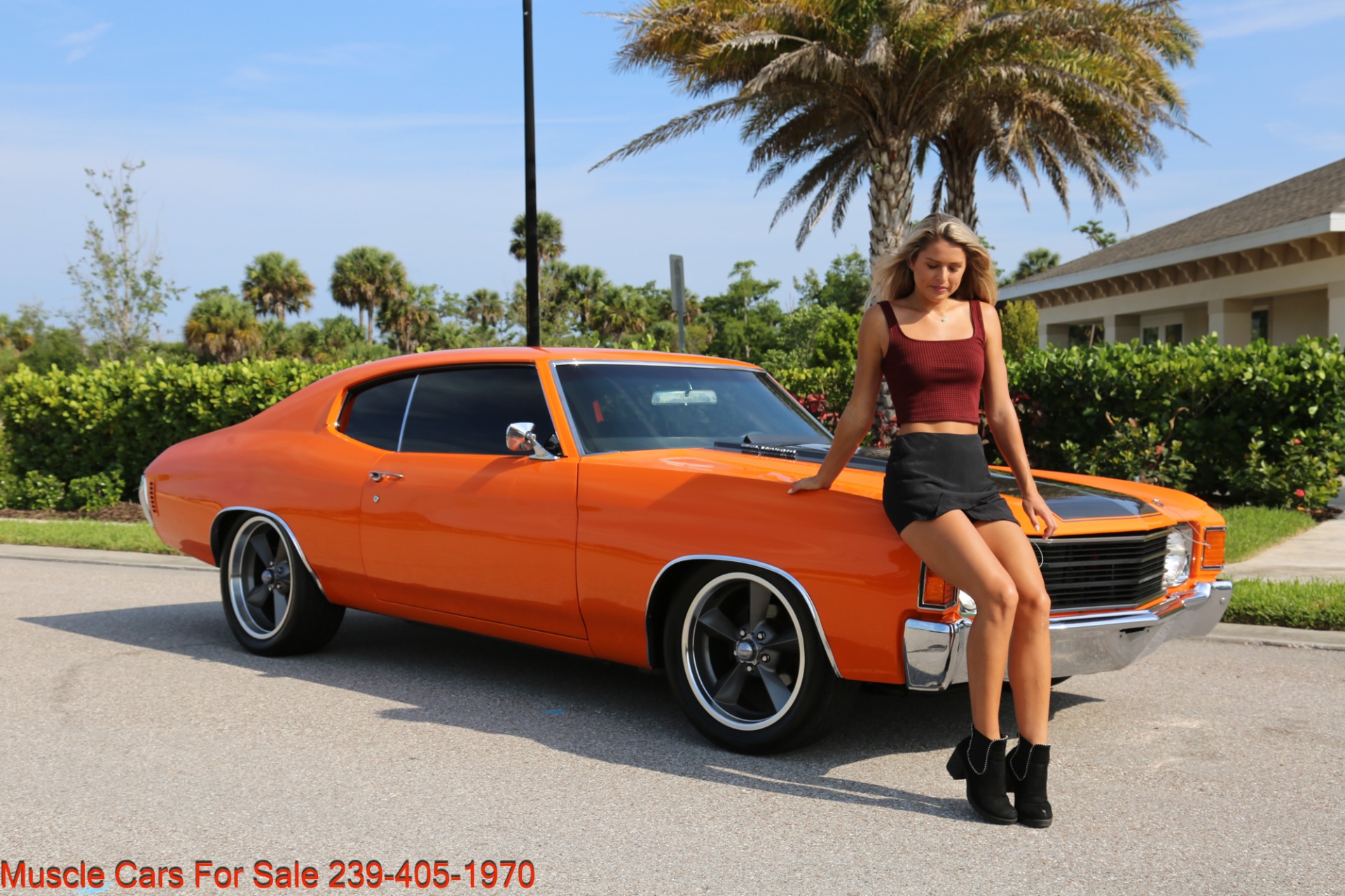 Used 1972 Chevy Chevelle LS 6 speed Cp for sale Sold at Muscle Cars for Sale Inc. in Fort Myers FL 33912 5