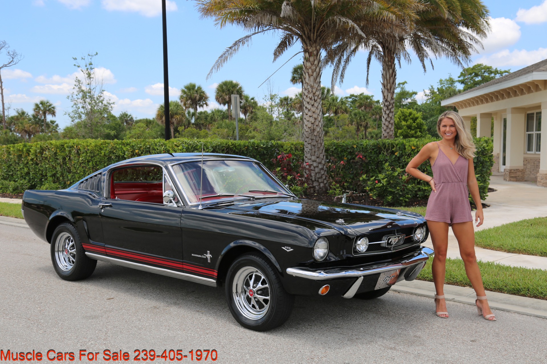 Used 1965 Ford Mustang 2+2 Fastback 2+2 Fastback C code for sale Sold at Muscle Cars for Sale Inc. in Fort Myers FL 33912 4