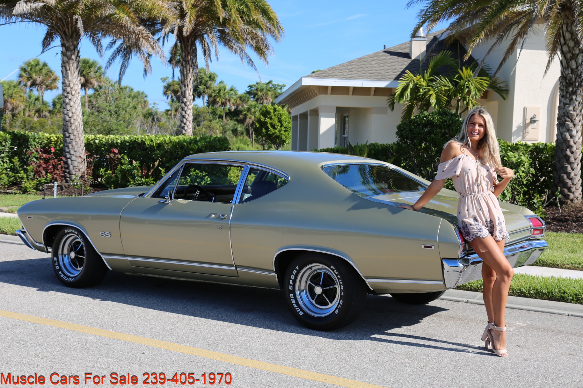 Used 1969 Chevrolet Chevelle 502 for sale Sold at Muscle Cars for Sale Inc. in Fort Myers FL 33912 6