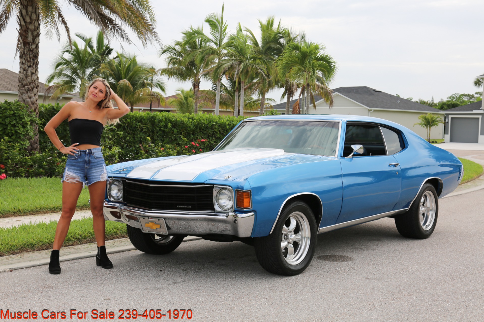 Used 1972 Chevrolet Chevelle SS Chevelle for sale Sold at Muscle Cars for Sale Inc. in Fort Myers FL 33912 2