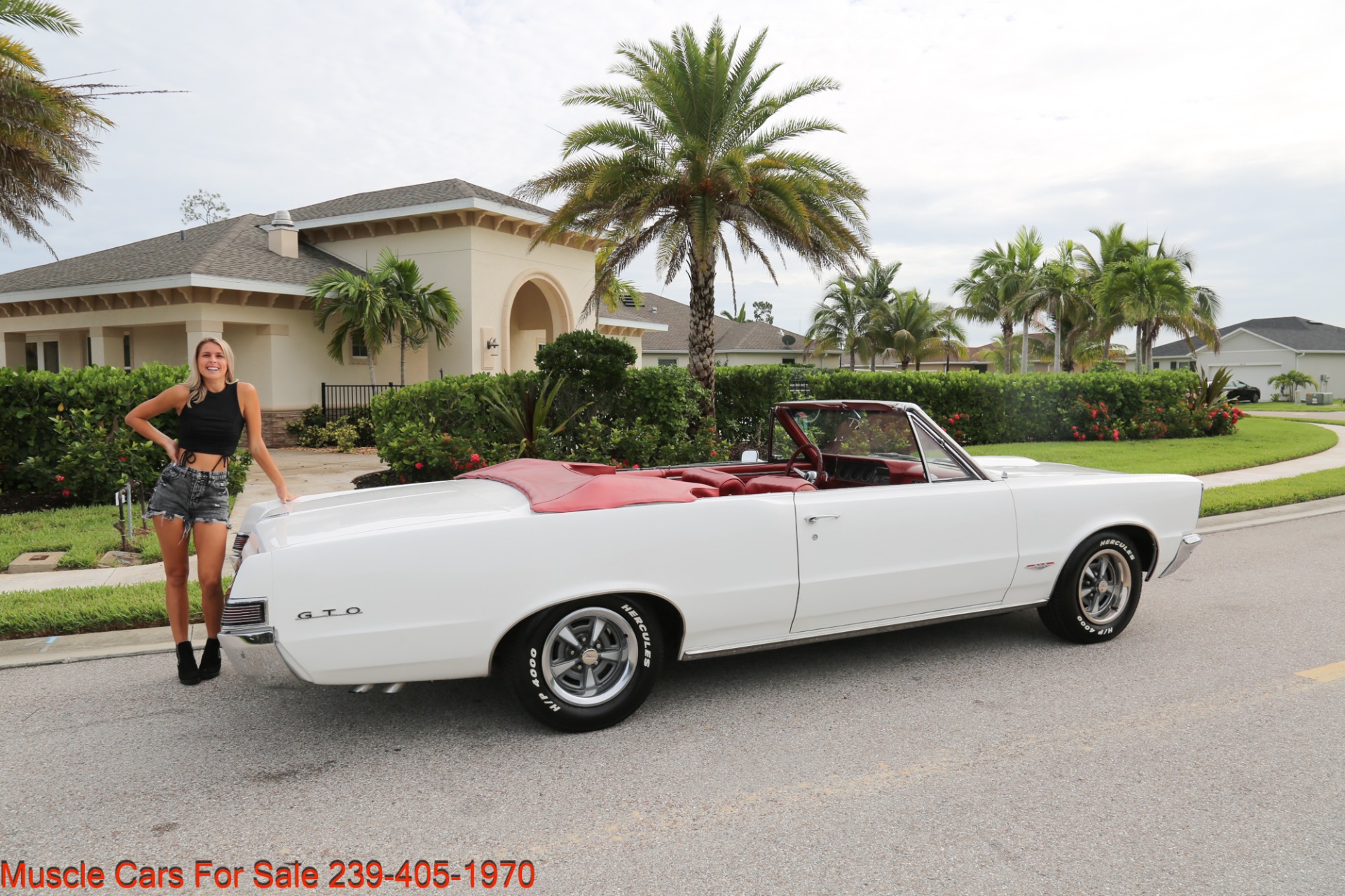 Used 1965 Pontiac Lemans GTO Convertible Convertible for sale Sold at Muscle Cars for Sale Inc. in Fort Myers FL 33912 3