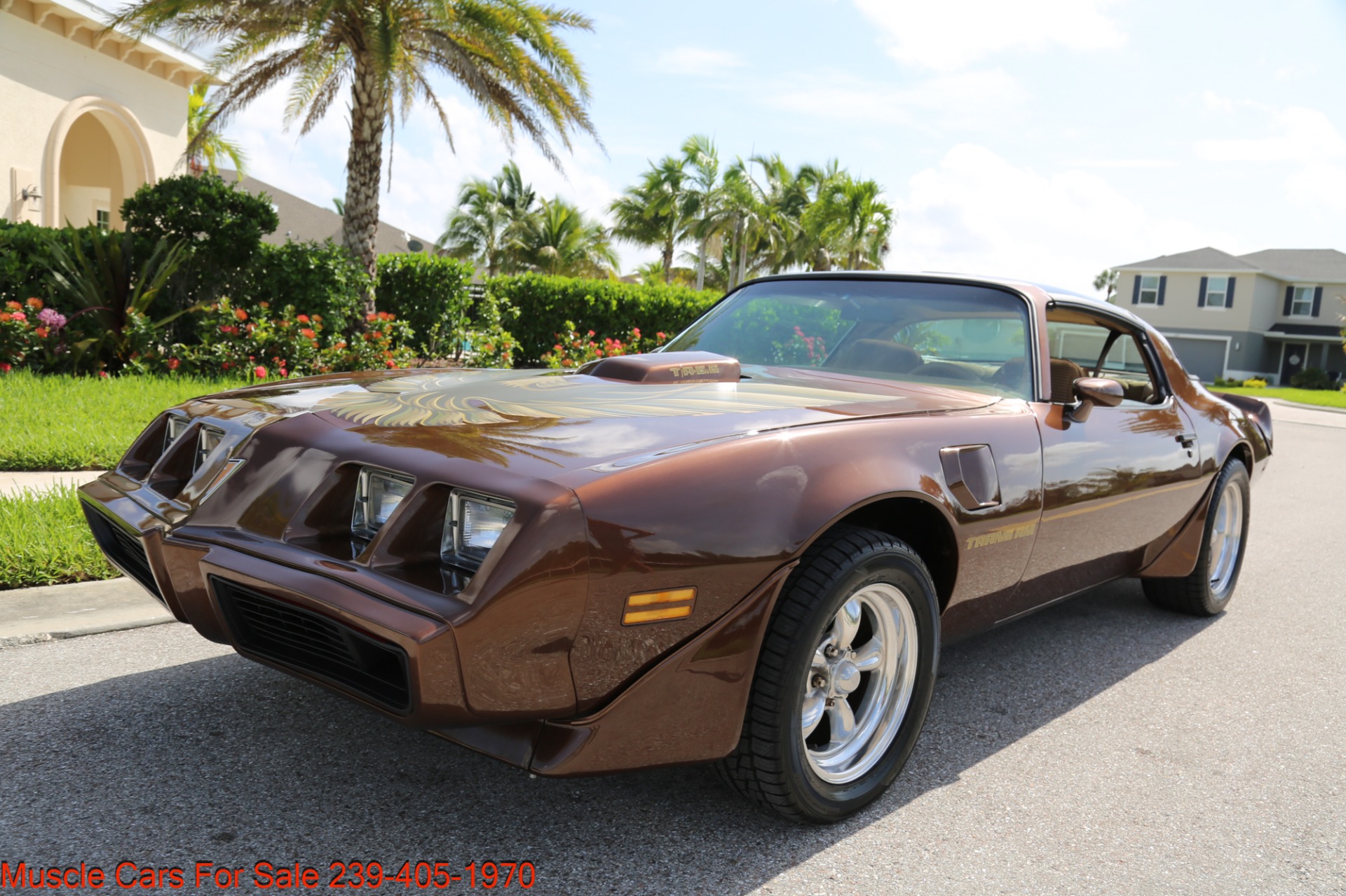 Used 1979 Pontiac Trans Am Trans Am 6.6 for sale Sold at Muscle Cars for Sale Inc. in Fort Myers FL 33912 5