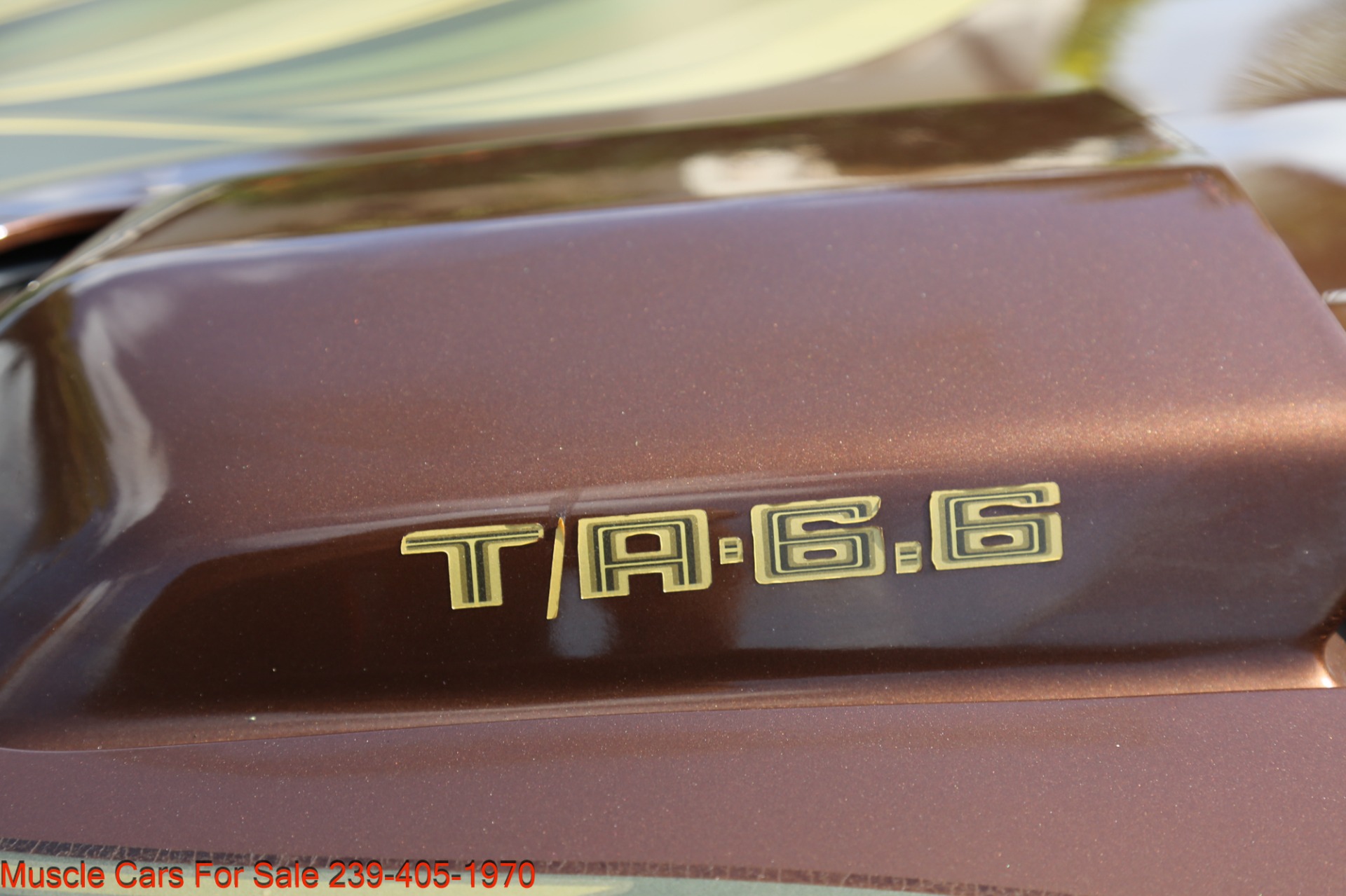 Used 1979 Pontiac Trans Am Trans Am 6.6 for sale Sold at Muscle Cars for Sale Inc. in Fort Myers FL 33912 7