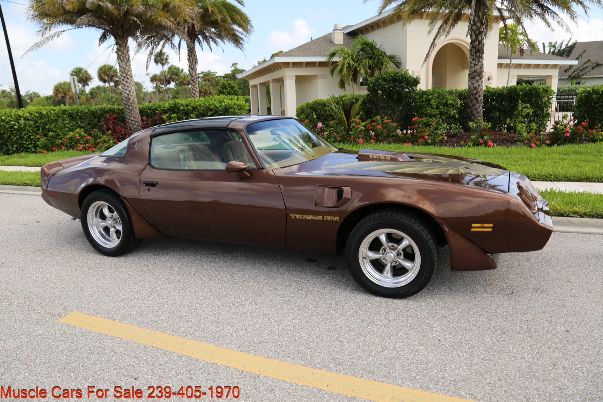 Used 1979 Pontiac Trans Am Trans Am 6.6 for sale Sold at Muscle Cars for Sale Inc. in Fort Myers FL 33912 8