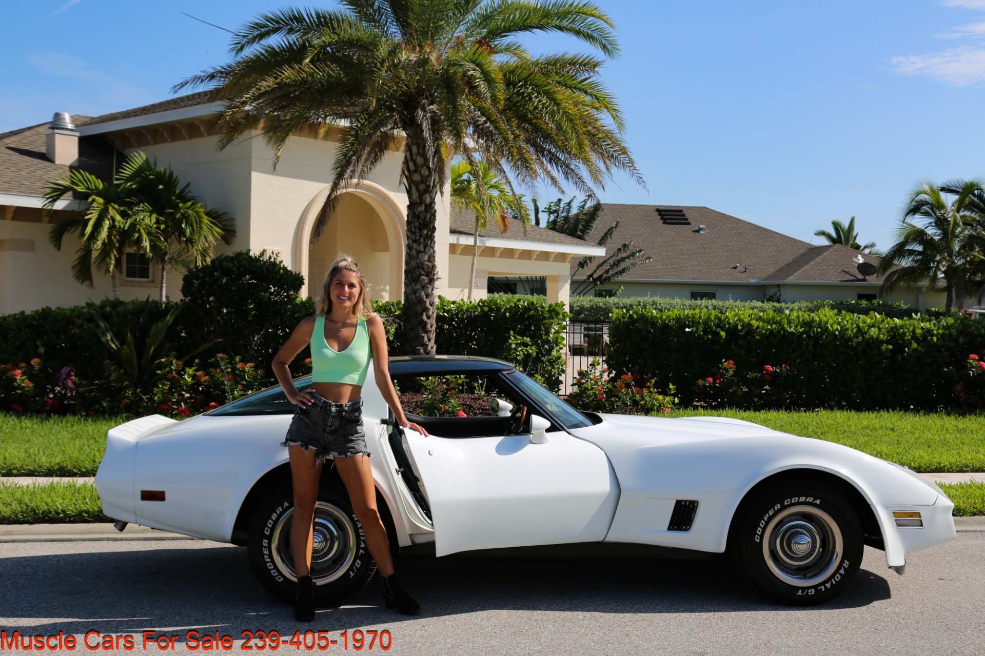 Used 1980 Chevrolet Corvette Coupe T Top for sale Sold at Muscle Cars for Sale Inc. in Fort Myers FL 33912 8