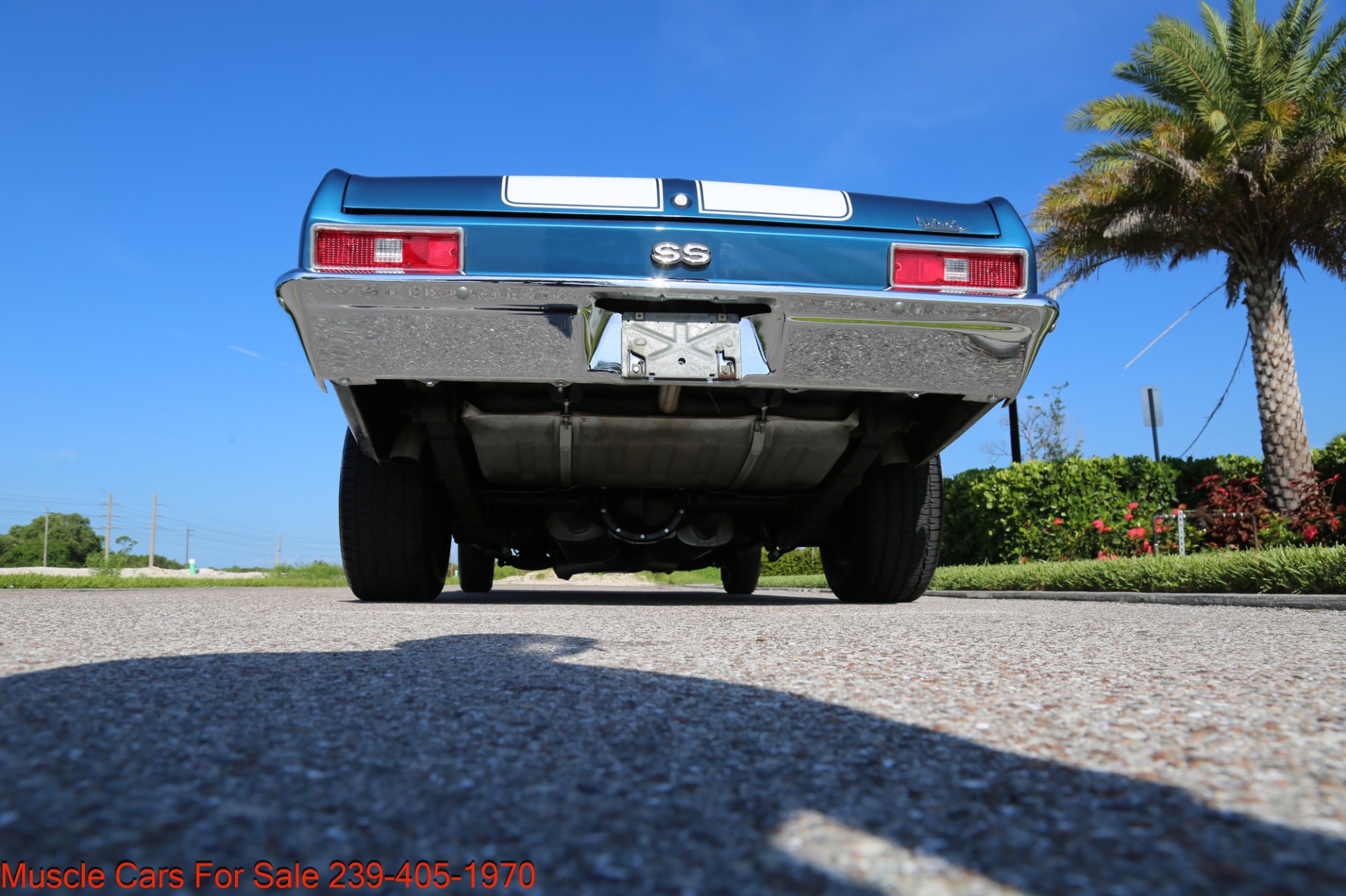 Used 1972 Chevrolet Nova ss for sale Sold at Muscle Cars for Sale Inc. in Fort Myers FL 33912 5
