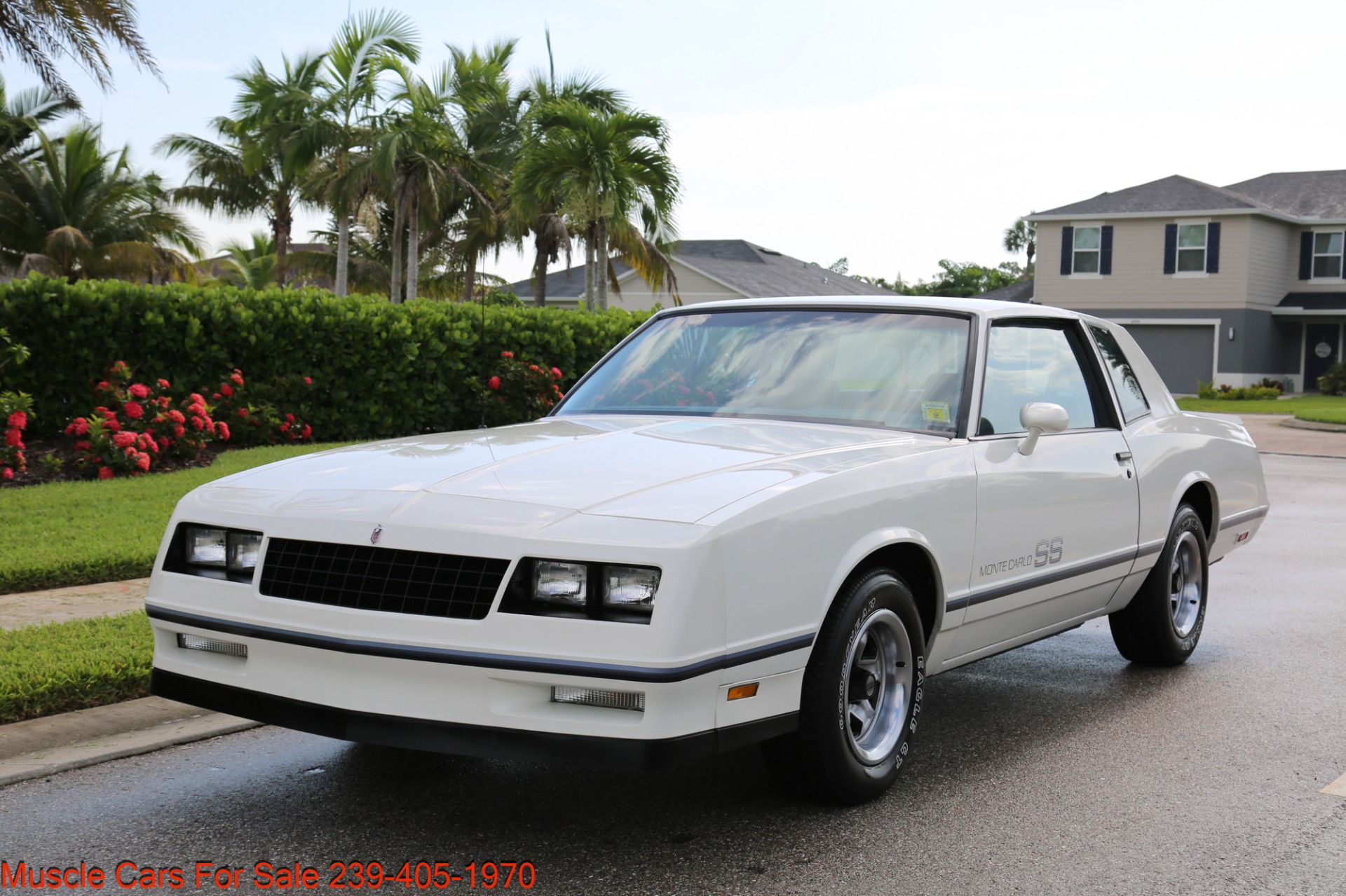 Used 1984 Chevrolet Monte Carlo SS for sale Sold at Muscle Cars for Sale Inc. in Fort Myers FL 33912 3