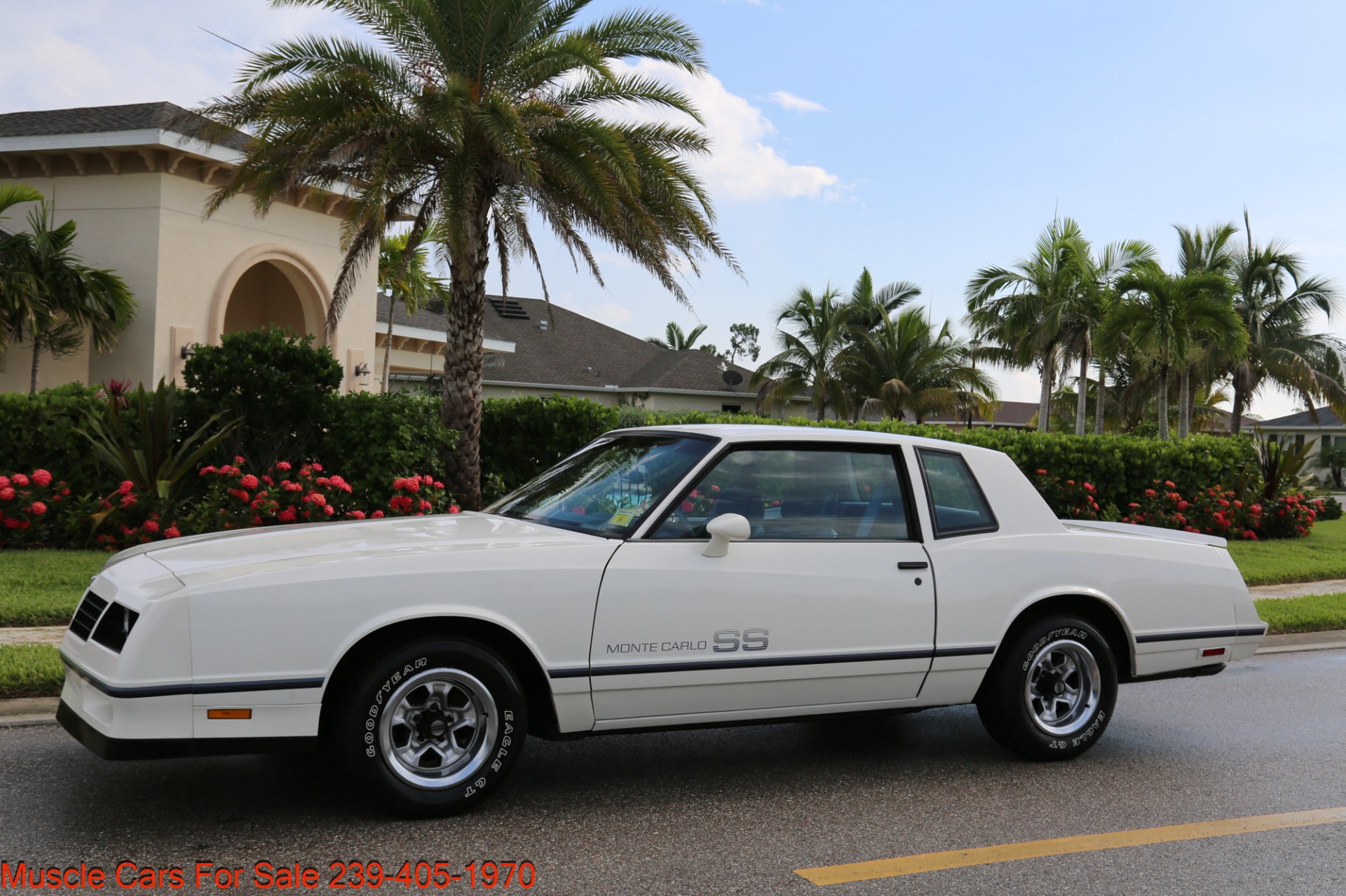 Used 1984 Chevrolet Monte Carlo SS for sale Sold at Muscle Cars for Sale Inc. in Fort Myers FL 33912 4