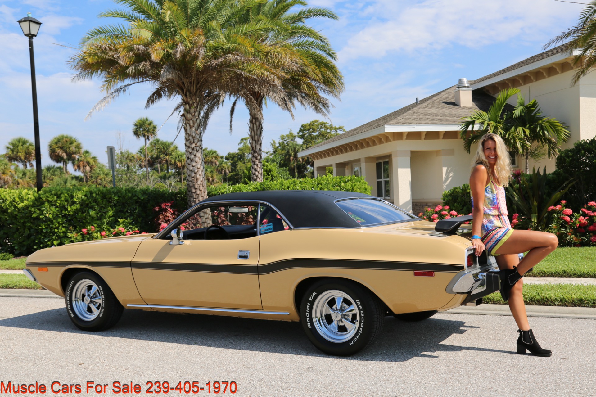 Used 1974 Dodge Challenger V8 Auto for sale Sold at Muscle Cars for Sale Inc. in Fort Myers FL 33912 2