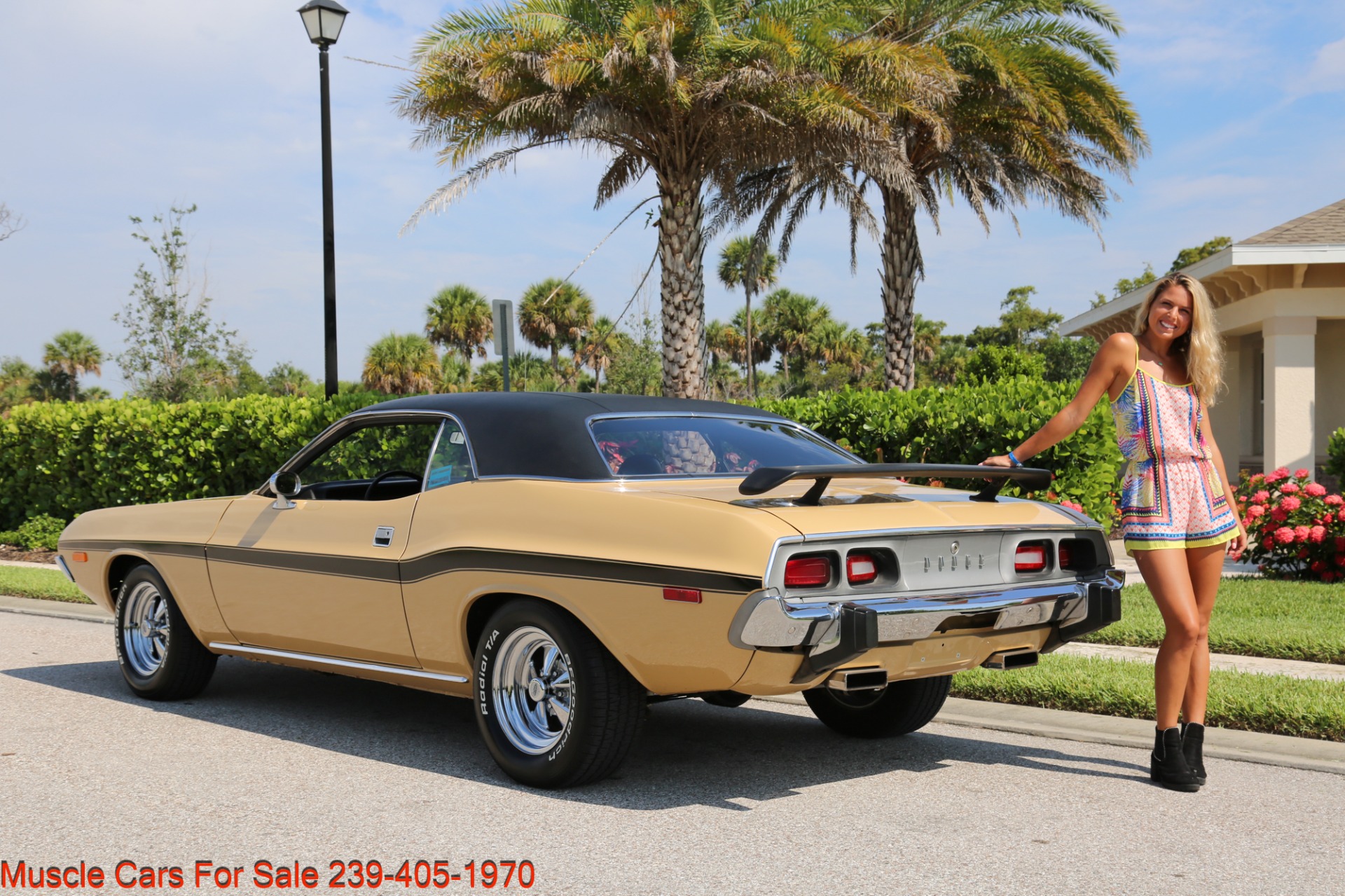 Used 1974 Dodge Challenger V8 Auto for sale Sold at Muscle Cars for Sale Inc. in Fort Myers FL 33912 3