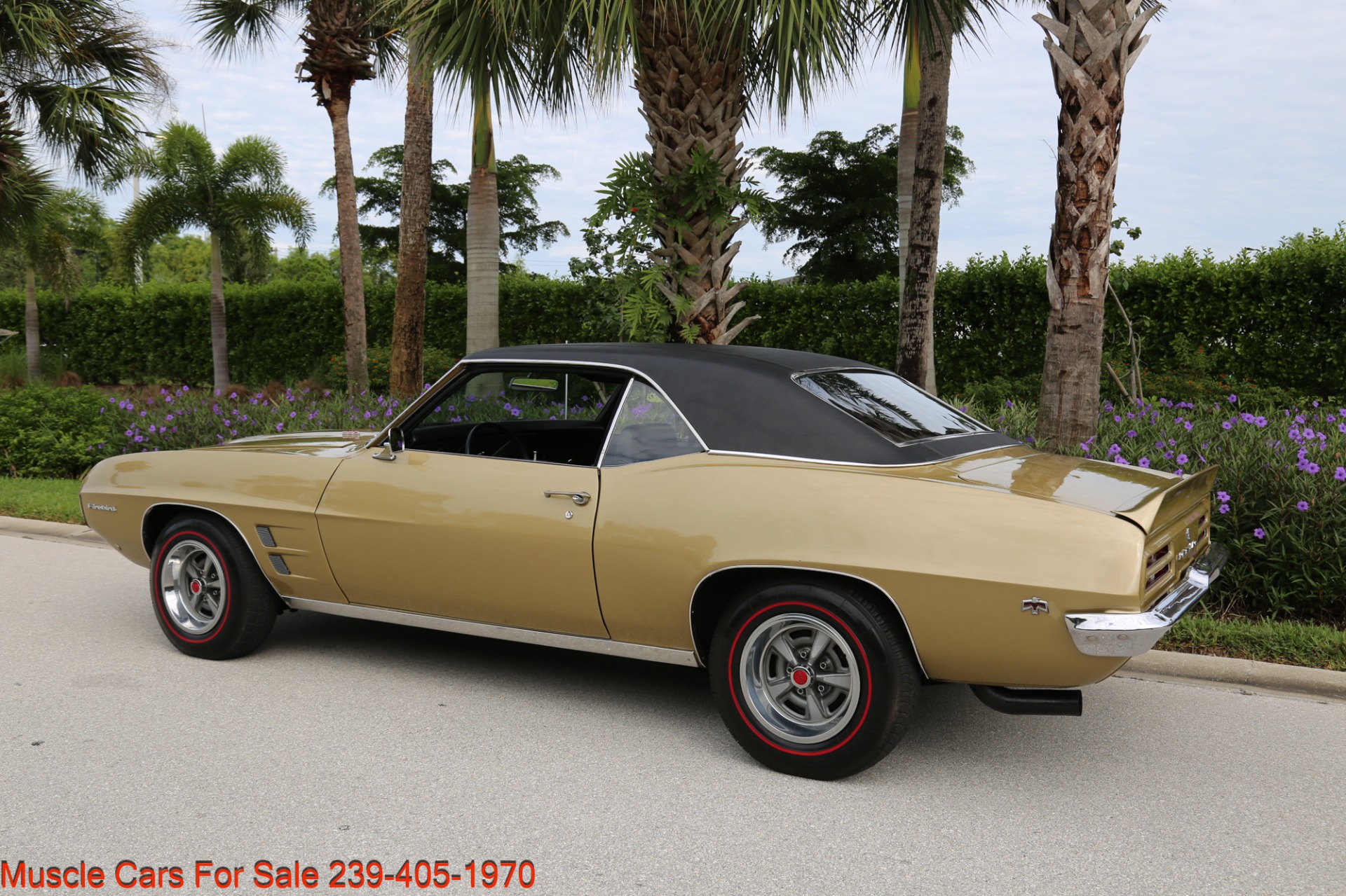 Used 1969 Pontiac Firebird V8 Auto for sale Sold at Muscle Cars for Sale Inc. in Fort Myers FL 33912 2