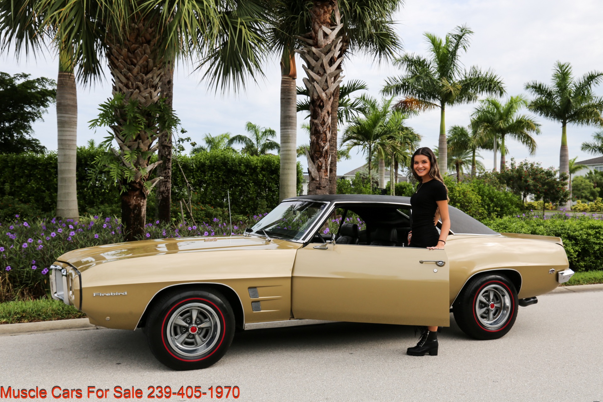 Used 1969 Pontiac Firebird V8 Auto for sale Sold at Muscle Cars for Sale Inc. in Fort Myers FL 33912 3