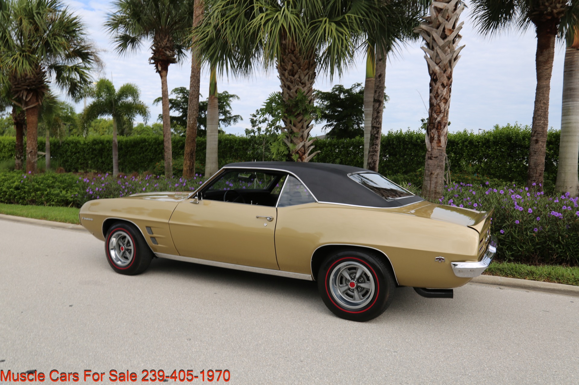 Used 1969 Pontiac Firebird V8 Auto for sale Sold at Muscle Cars for Sale Inc. in Fort Myers FL 33912 4