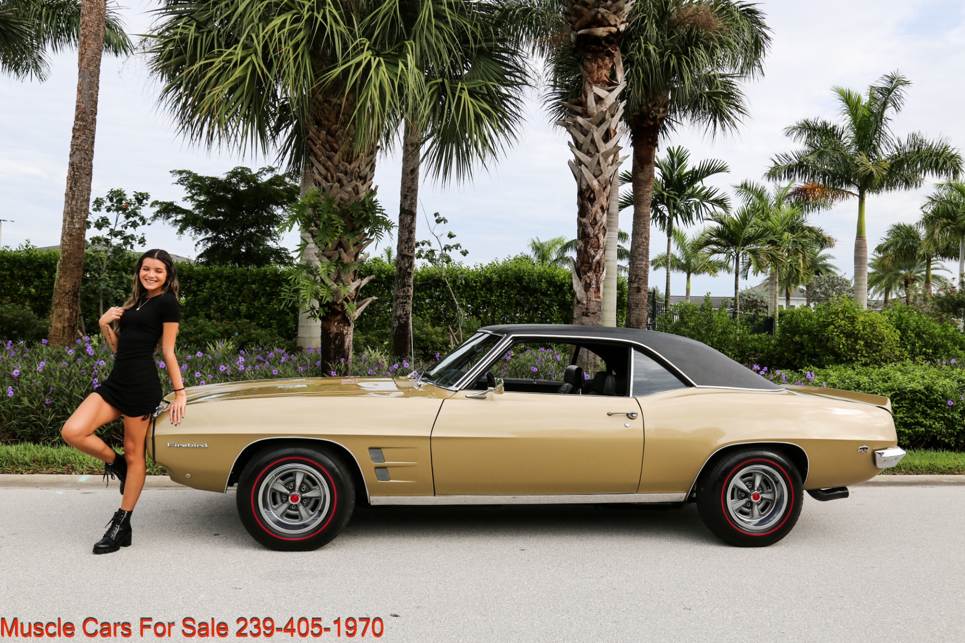 Used 1969 Pontiac Firebird V8 Auto for sale Sold at Muscle Cars for Sale Inc. in Fort Myers FL 33912 6