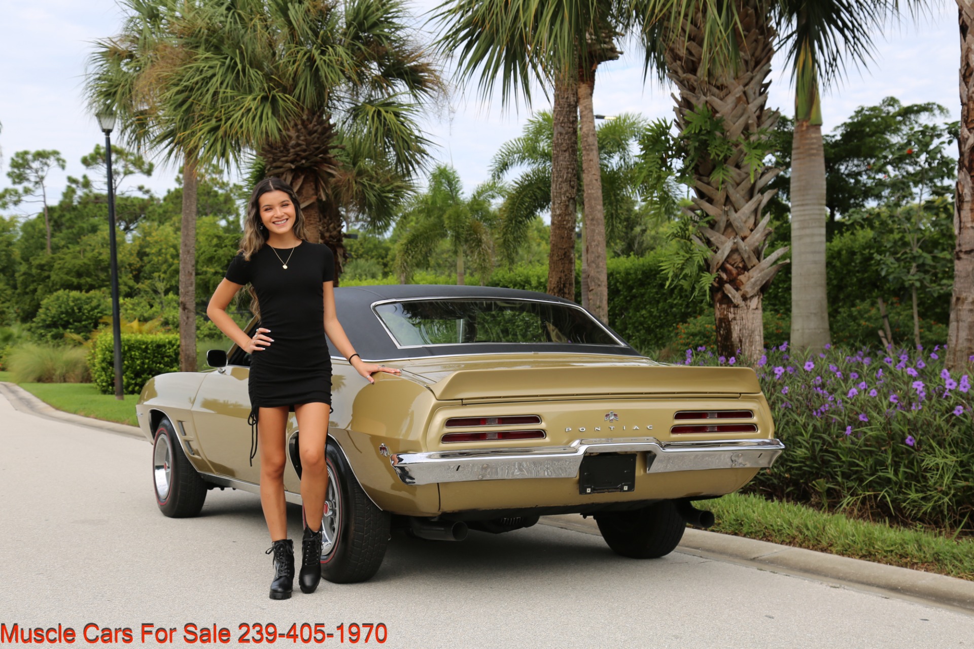 Used 1969 Pontiac Firebird V8 Auto for sale Sold at Muscle Cars for Sale Inc. in Fort Myers FL 33912 7