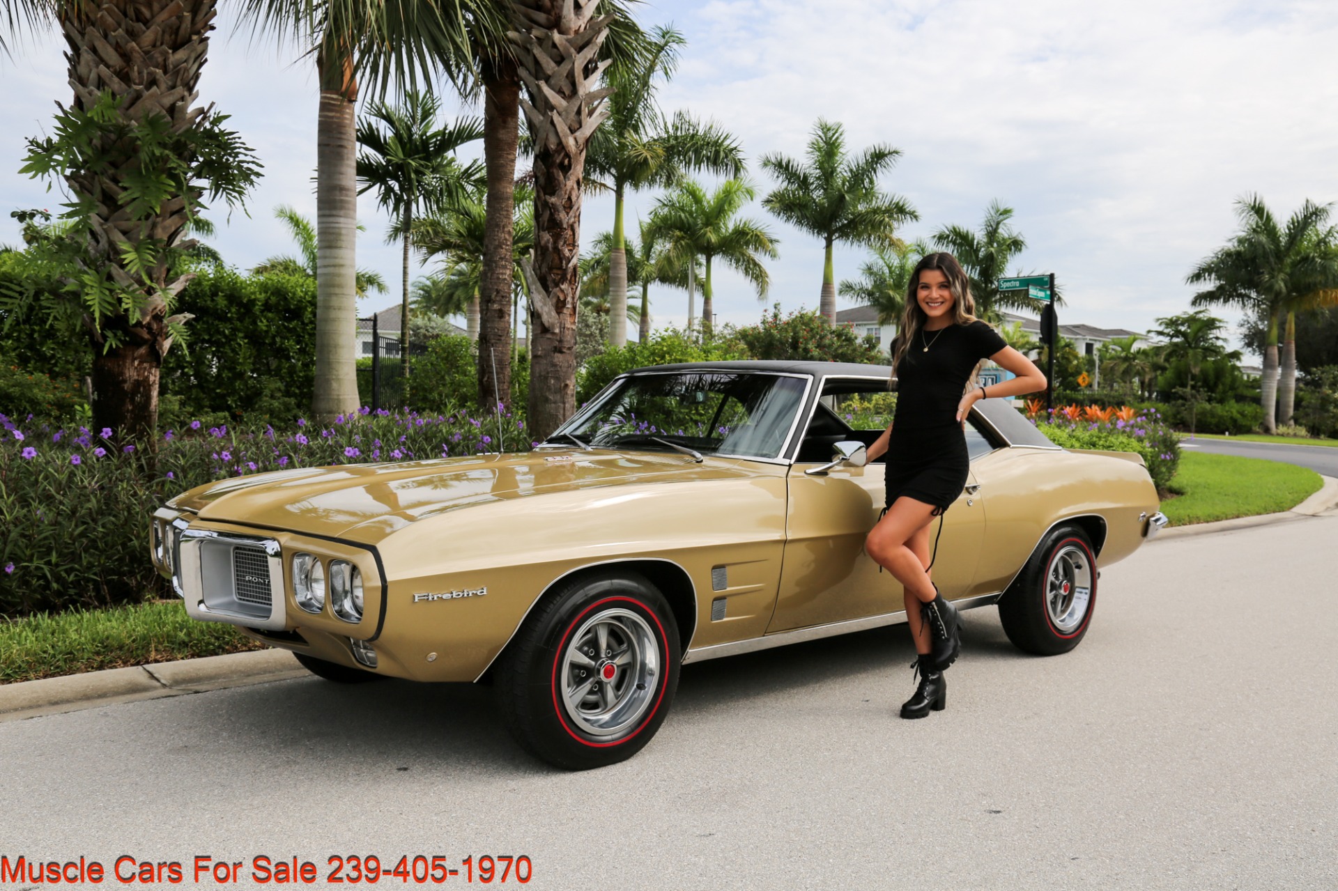 Used 1969 Pontiac Firebird V8 Auto for sale Sold at Muscle Cars for Sale Inc. in Fort Myers FL 33912 1