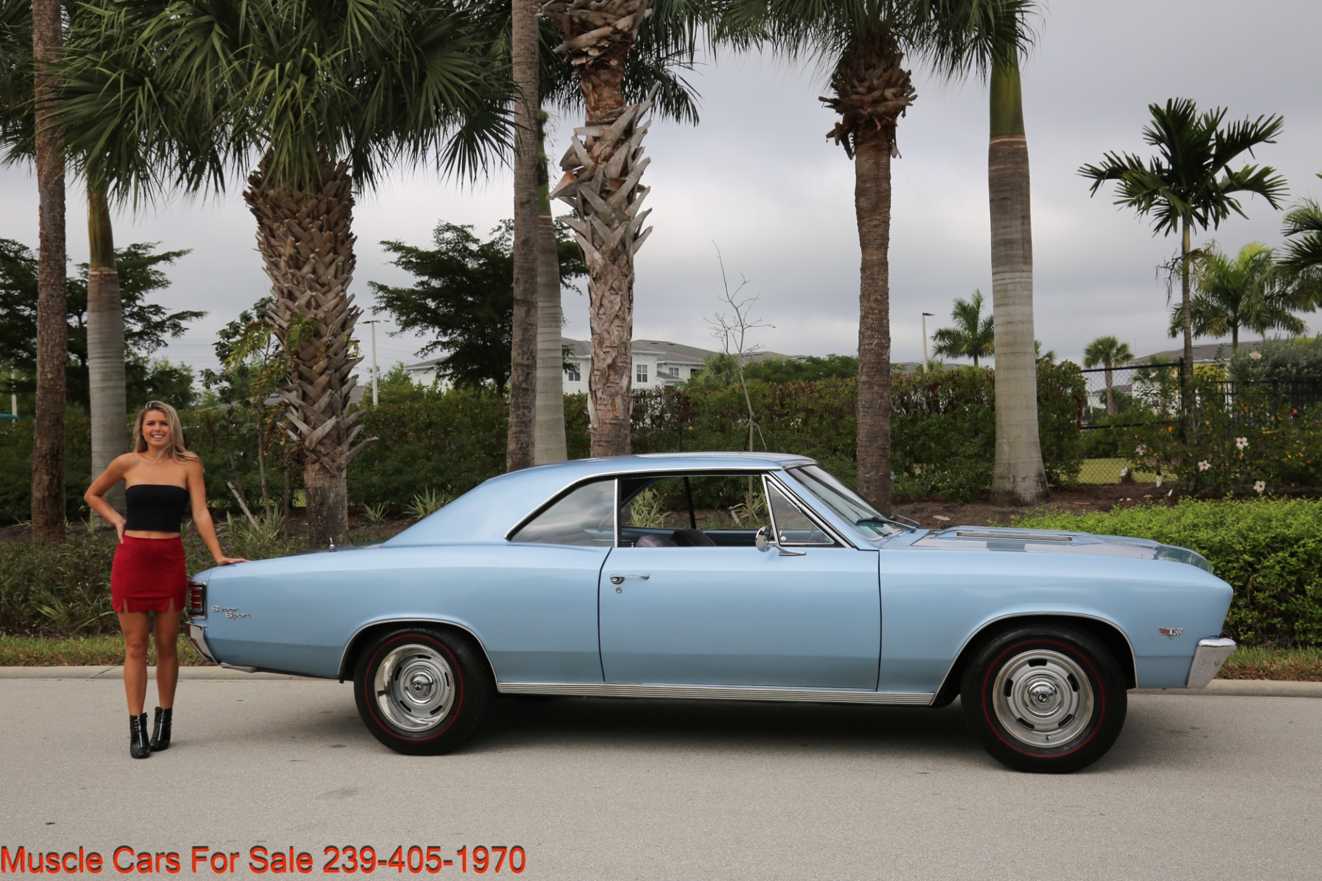 Used 1967 Chevrolet Chevelle Chevelle V8 Auto for sale Sold at Muscle Cars for Sale Inc. in Fort Myers FL 33912 2