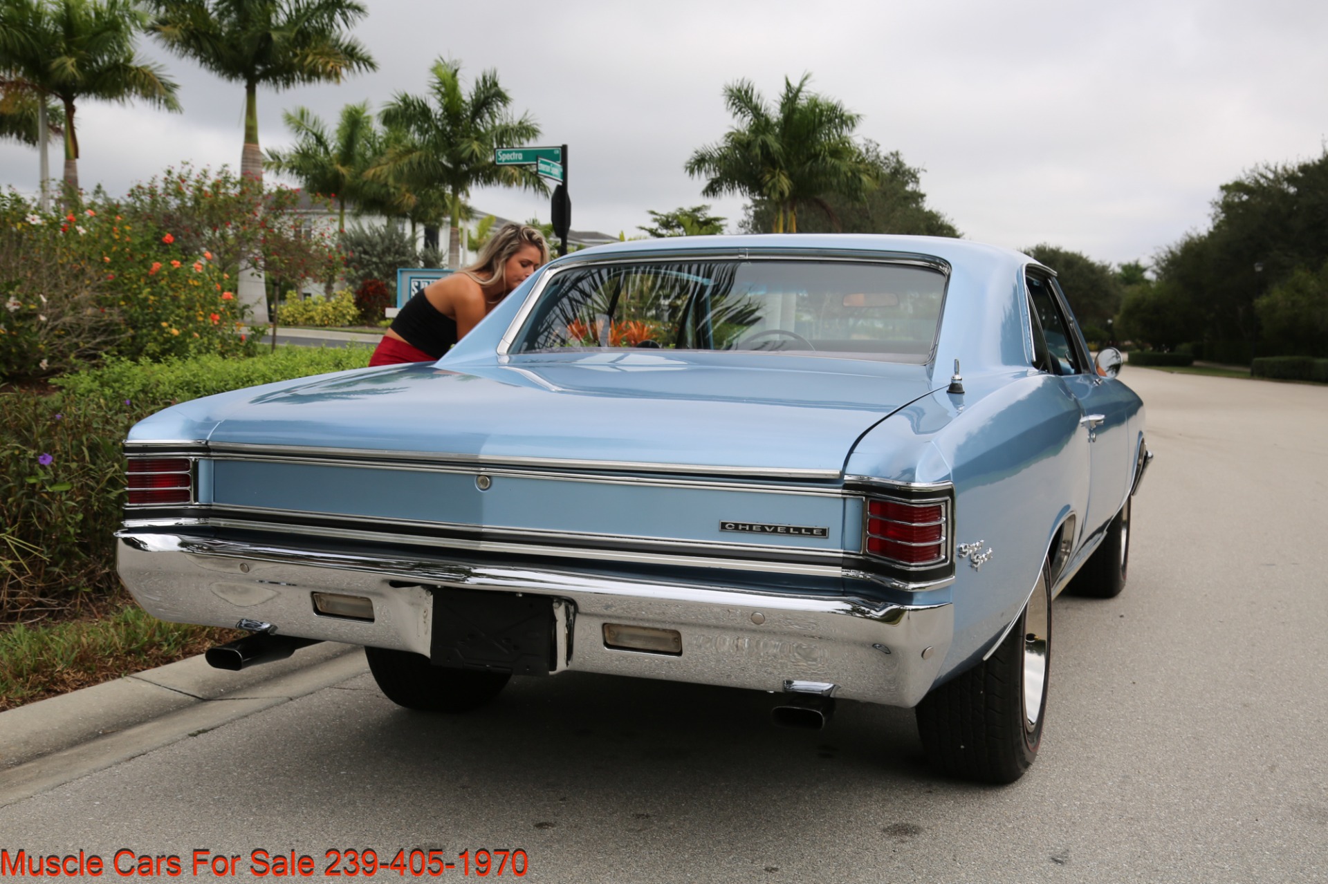 Used 1967 Chevrolet Chevelle Chevelle V8 Auto for sale Sold at Muscle Cars for Sale Inc. in Fort Myers FL 33912 3