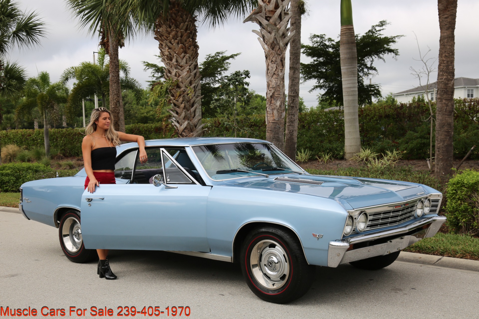 Used 1967 Chevrolet Chevelle Chevelle V8 Auto for sale Sold at Muscle Cars for Sale Inc. in Fort Myers FL 33912 4