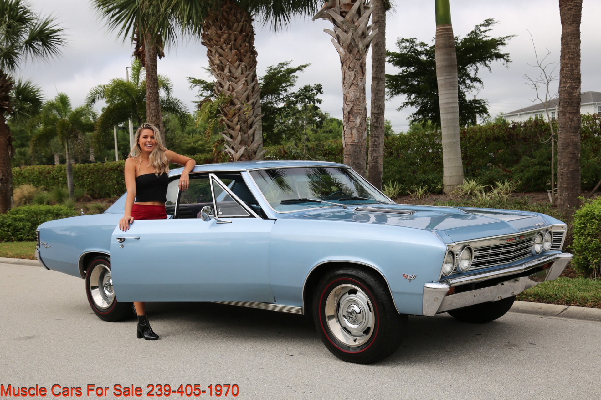 Used 1967 Chevrolet Chevelle Chevelle V8 Auto for sale Sold at Muscle Cars for Sale Inc. in Fort Myers FL 33912 5