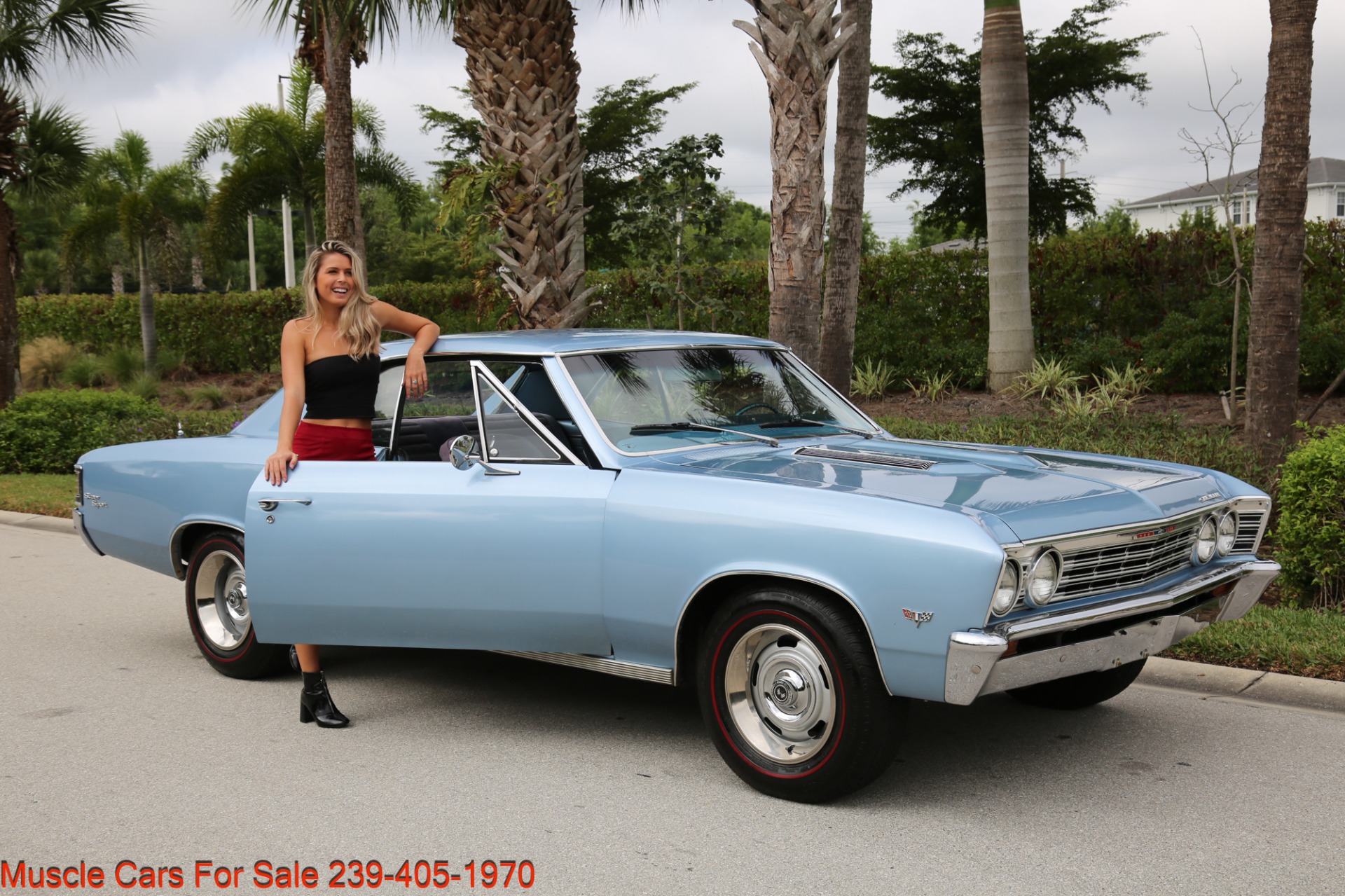 Used 1967 Chevrolet Chevelle Chevelle V8 Auto for sale Sold at Muscle Cars for Sale Inc. in Fort Myers FL 33912 6