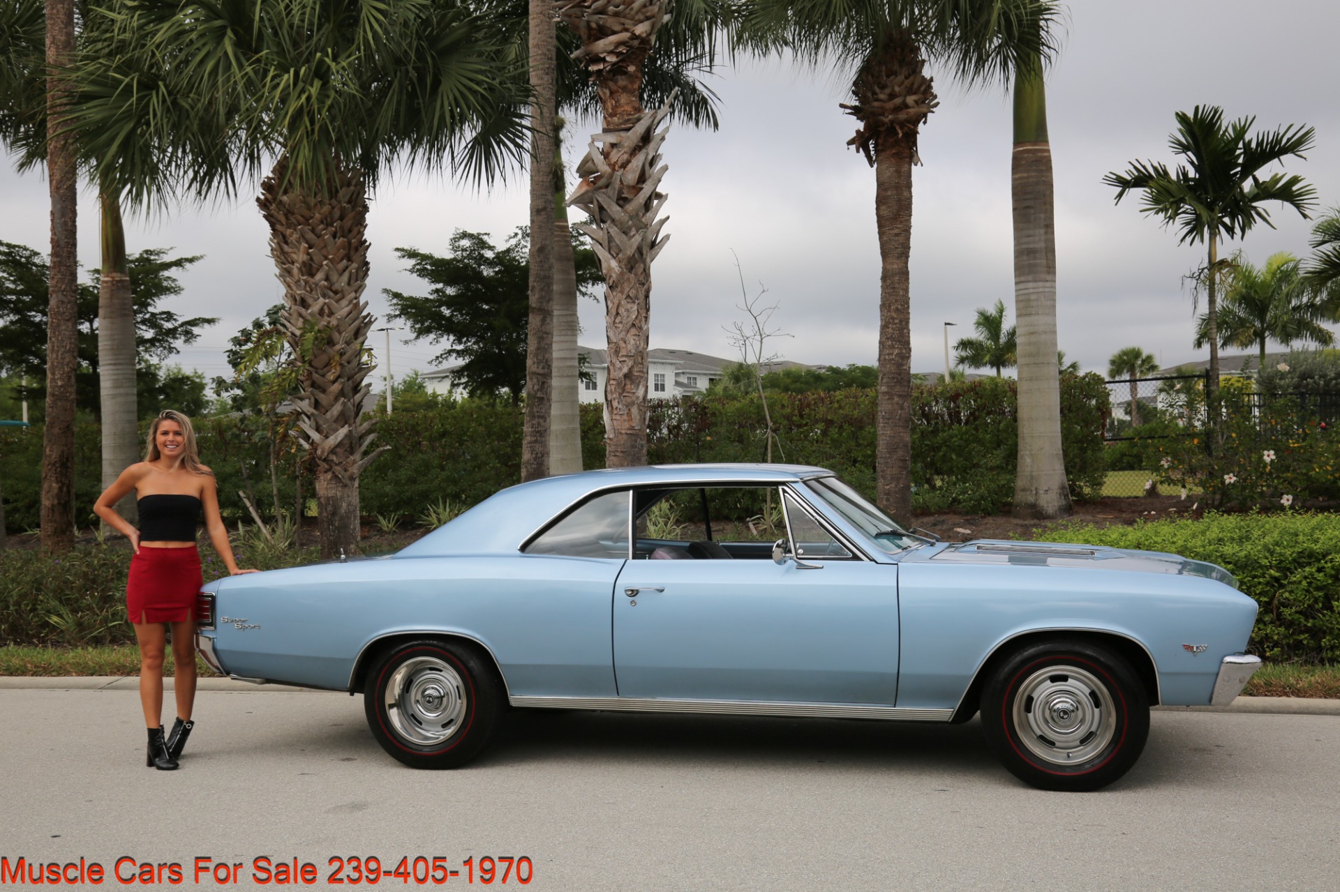 Used 1967 Chevrolet Chevelle Chevelle V8 Auto for sale Sold at Muscle Cars for Sale Inc. in Fort Myers FL 33912 7