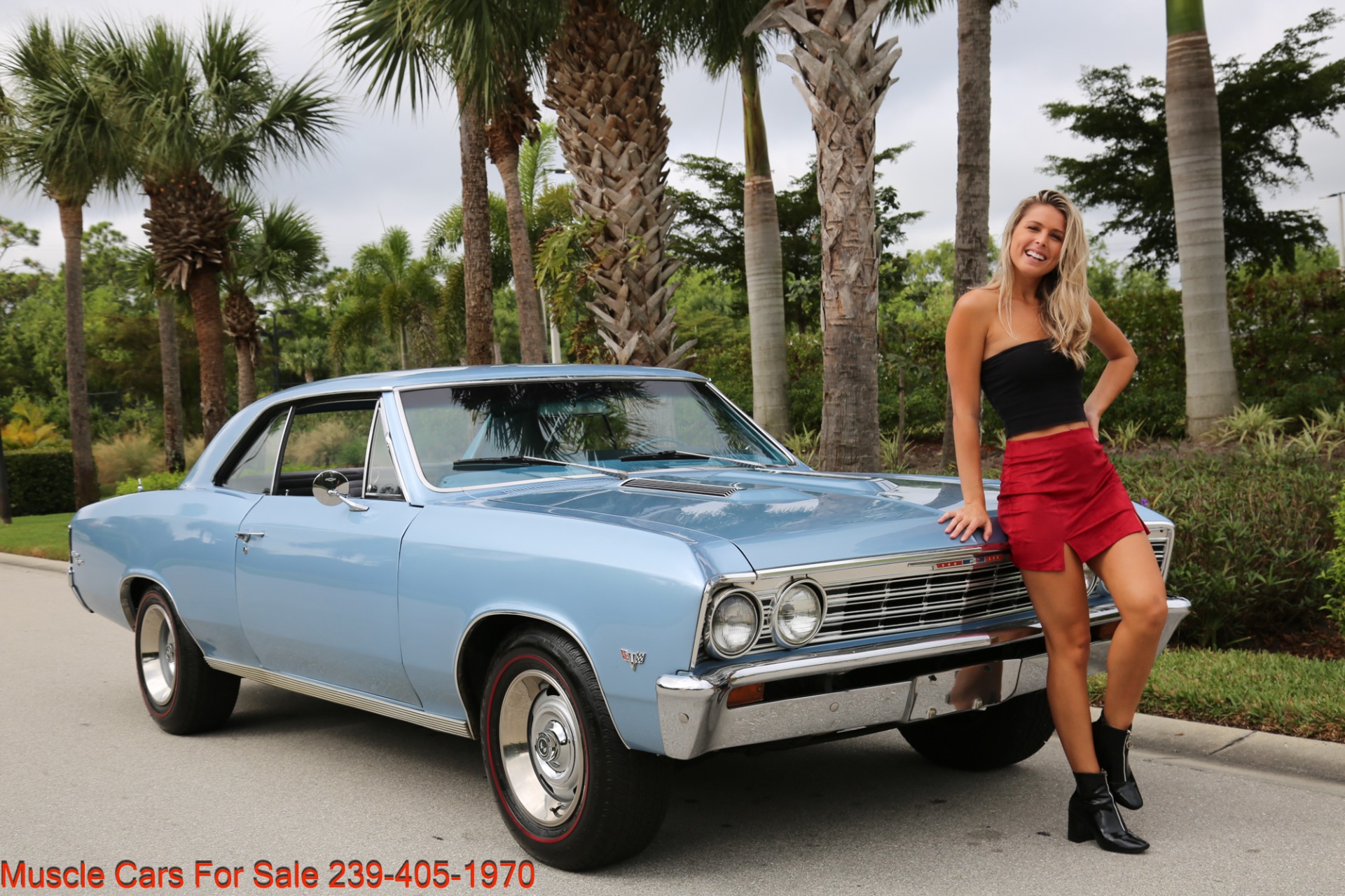 Used 1967 Chevrolet Chevelle Chevelle V8 Auto for sale Sold at Muscle Cars for Sale Inc. in Fort Myers FL 33912 1