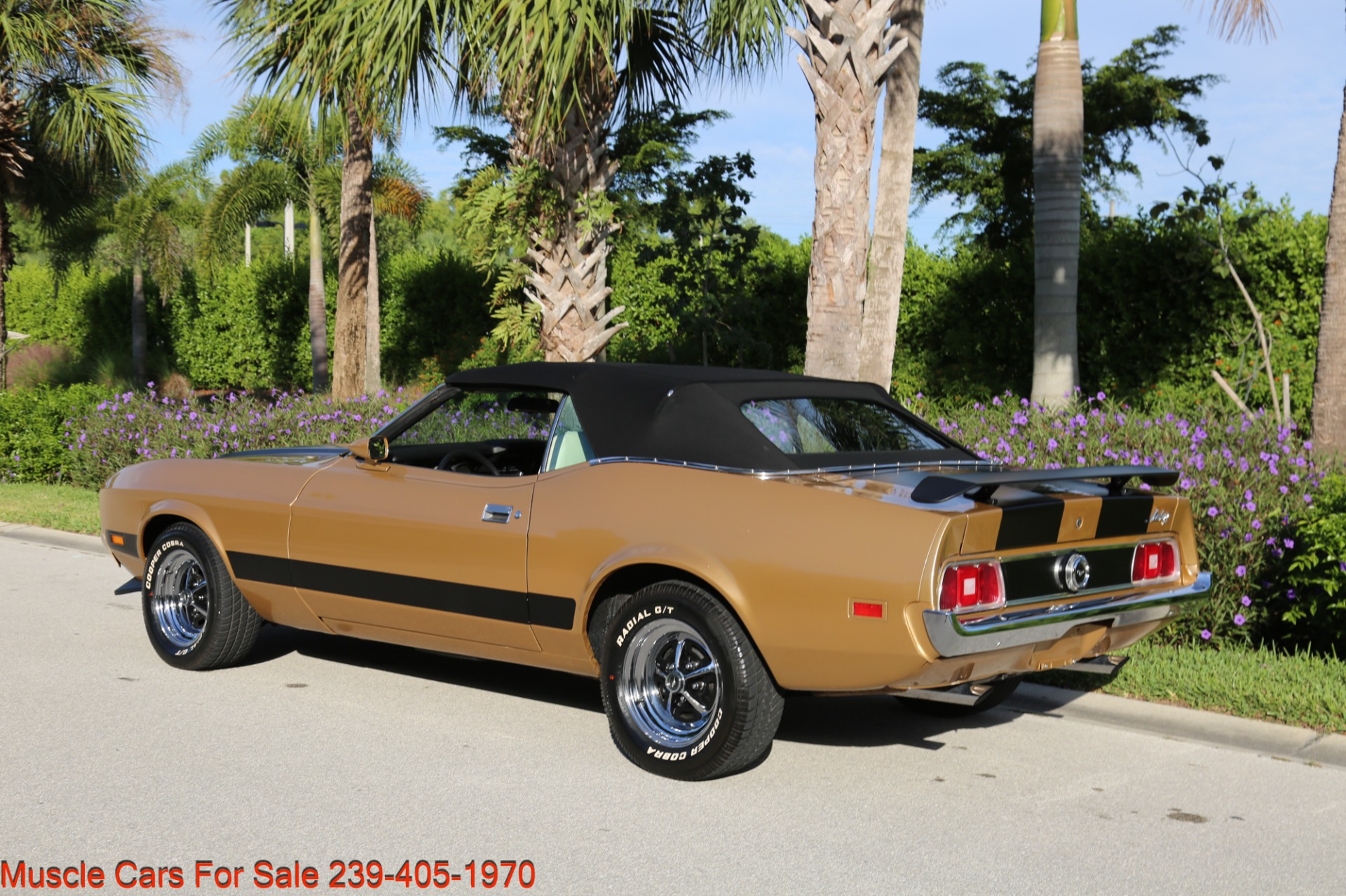 Used 1973 Ford Mustang Convertible for sale Sold at Muscle Cars for Sale Inc. in Fort Myers FL 33912 5