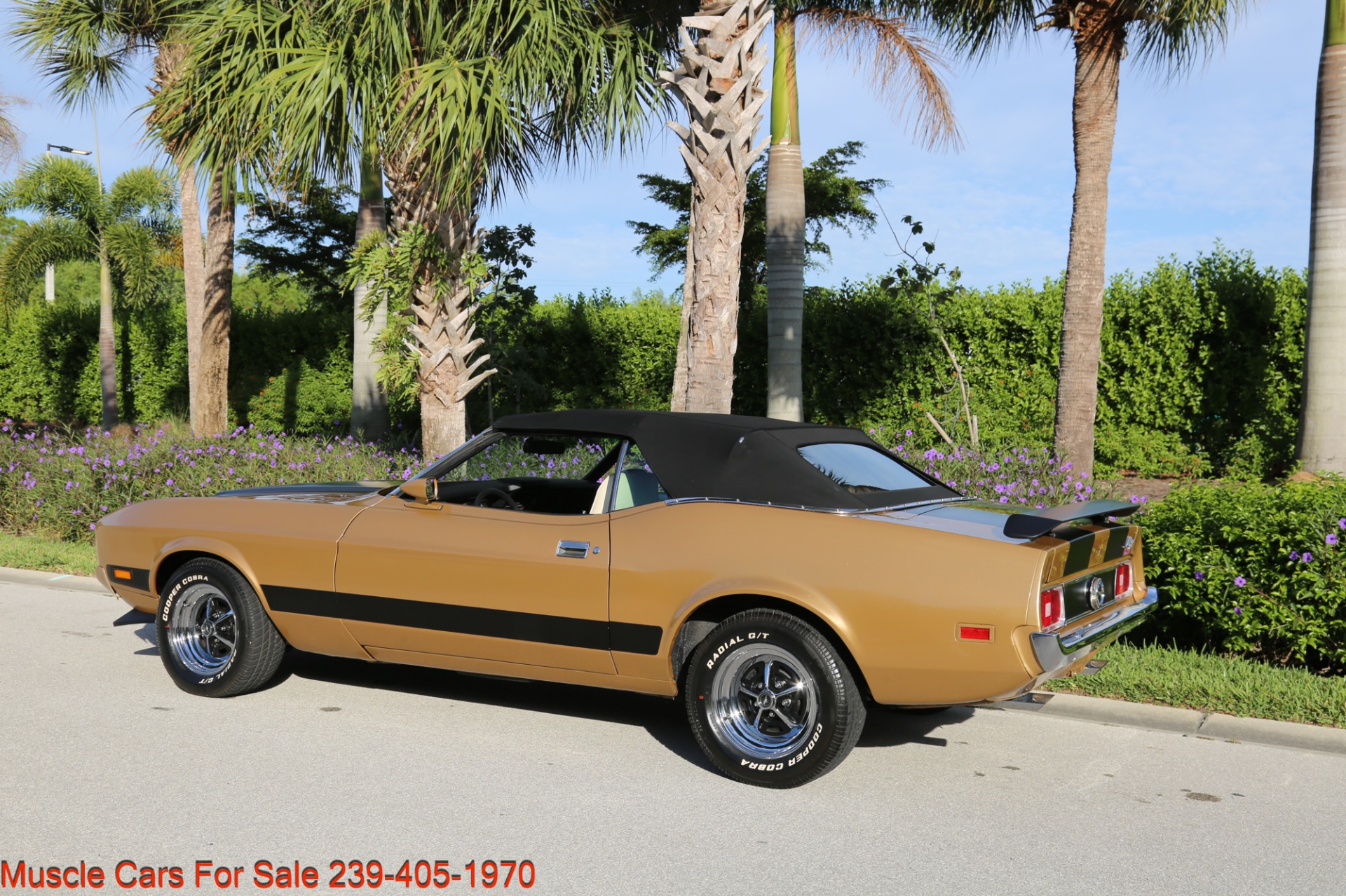 Used 1973 Ford Mustang Convertible for sale Sold at Muscle Cars for Sale Inc. in Fort Myers FL 33912 6