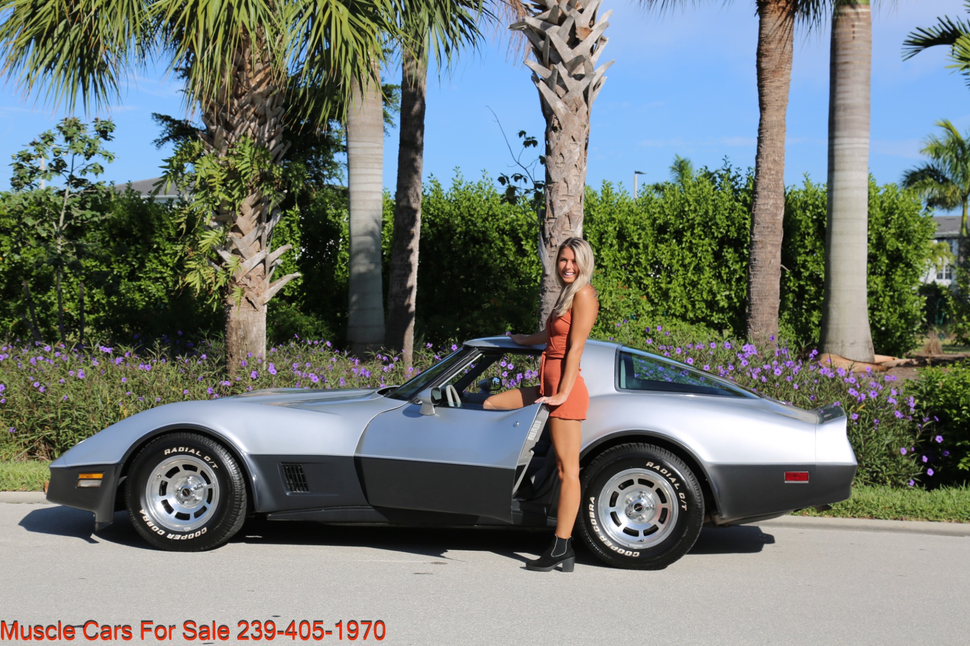 Used 1981 Chevrolet Corvette Corvette T Top for sale Sold at Muscle Cars for Sale Inc. in Fort Myers FL 33912 2