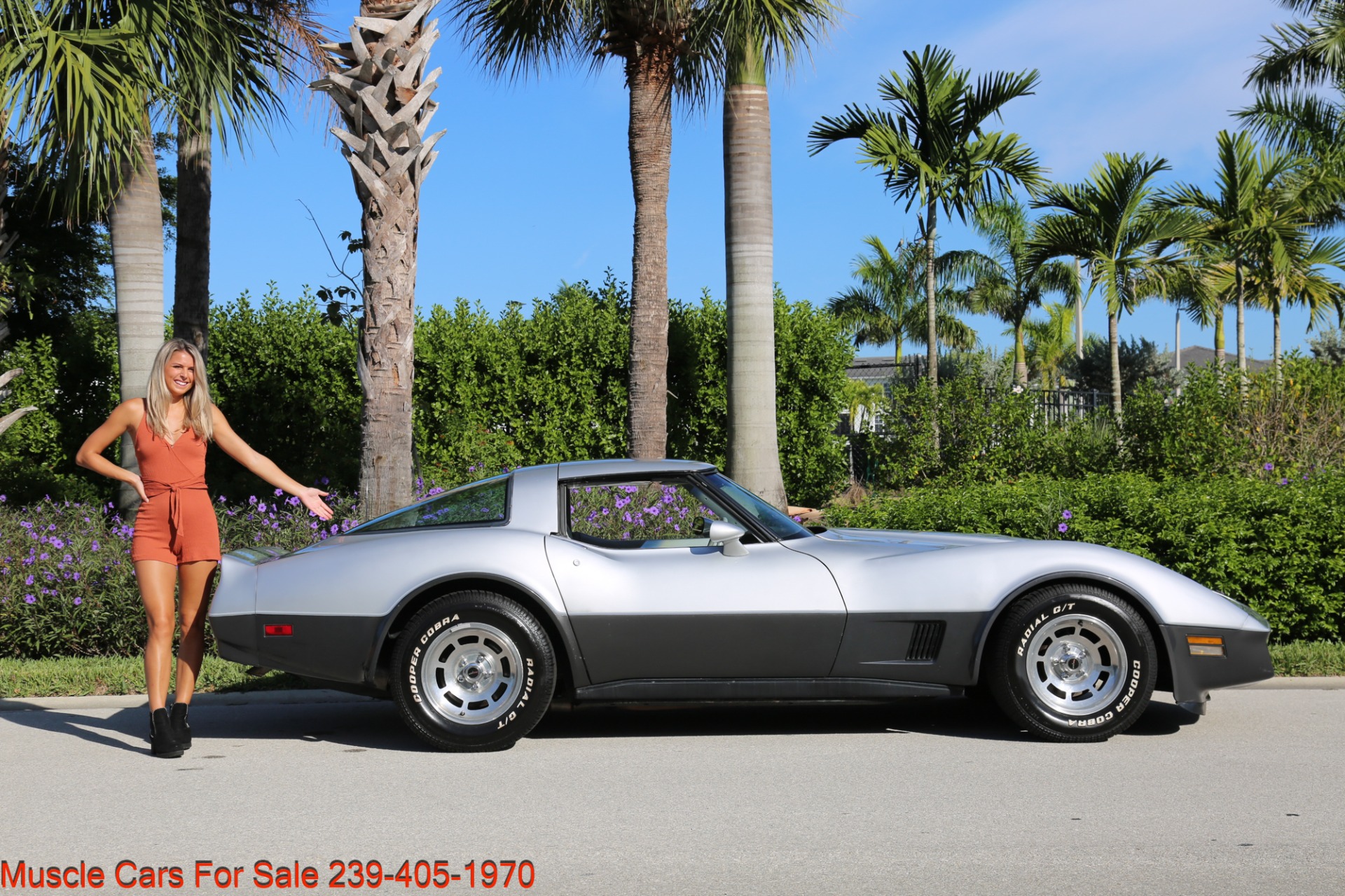 Used 1981 Chevrolet Corvette Corvette T Top for sale Sold at Muscle Cars for Sale Inc. in Fort Myers FL 33912 3