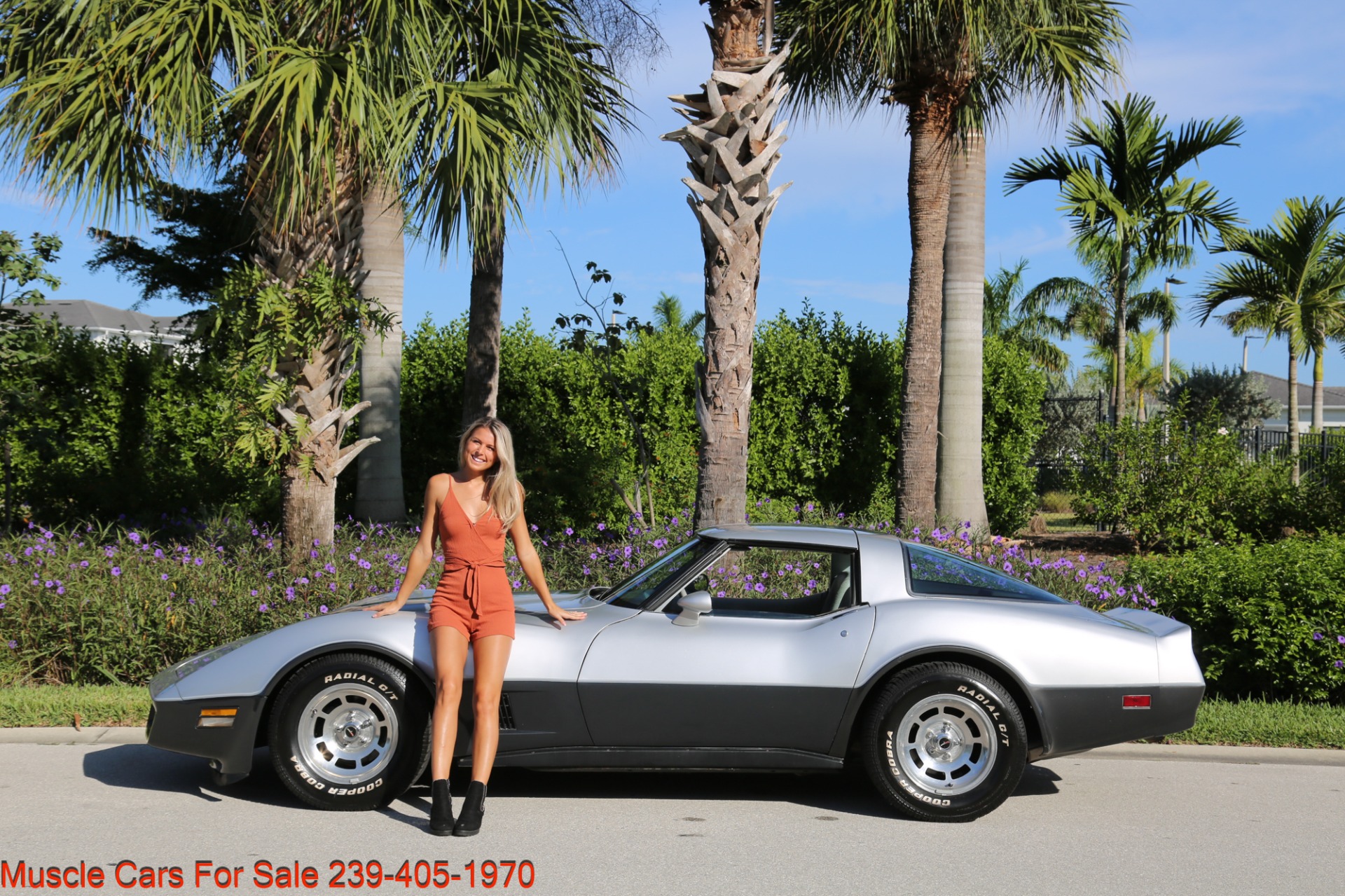 Used 1981 Chevrolet Corvette Corvette T Top for sale Sold at Muscle Cars for Sale Inc. in Fort Myers FL 33912 4