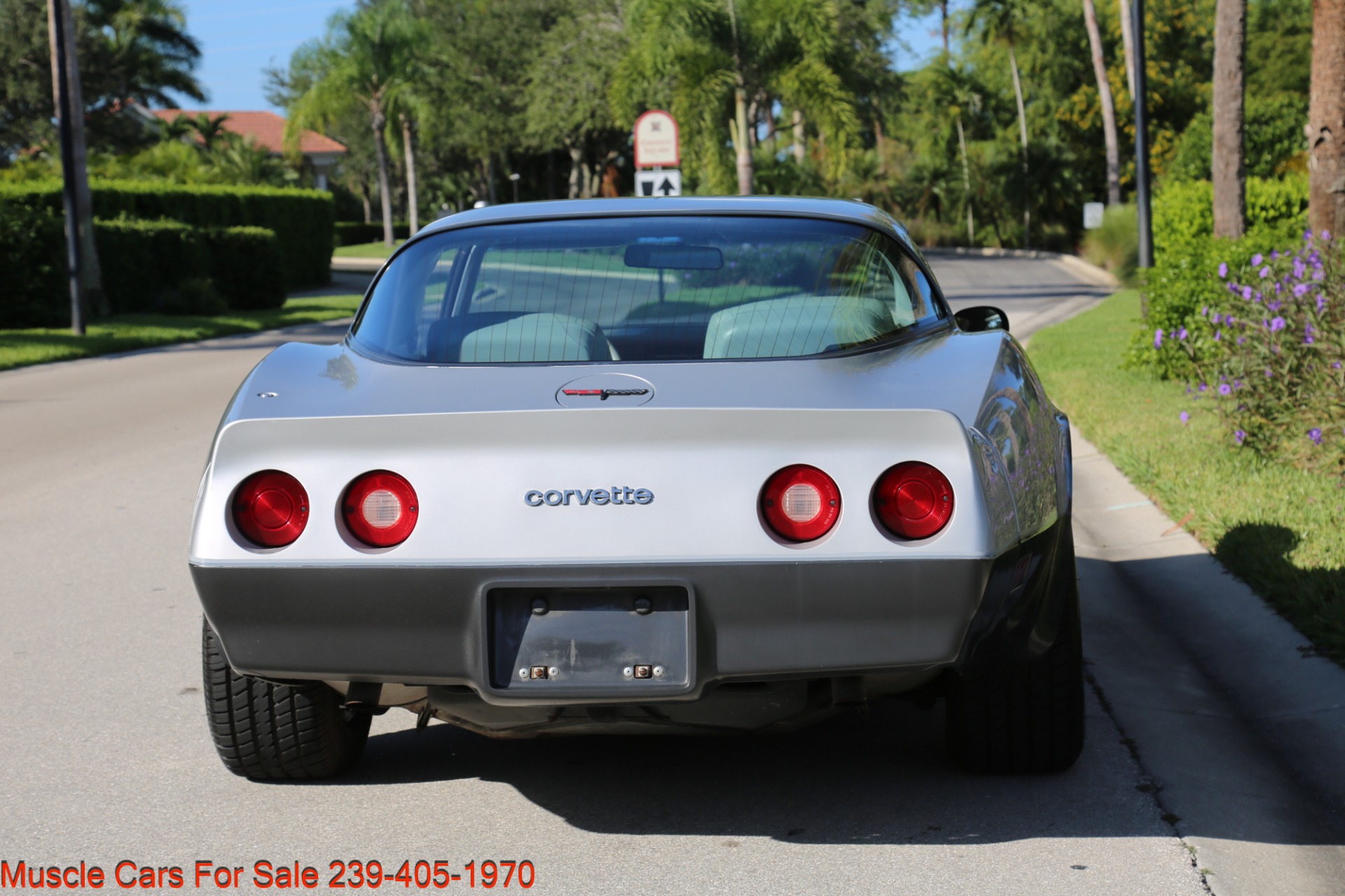 Used 1981 Chevrolet Corvette Corvette T Top for sale Sold at Muscle Cars for Sale Inc. in Fort Myers FL 33912 6