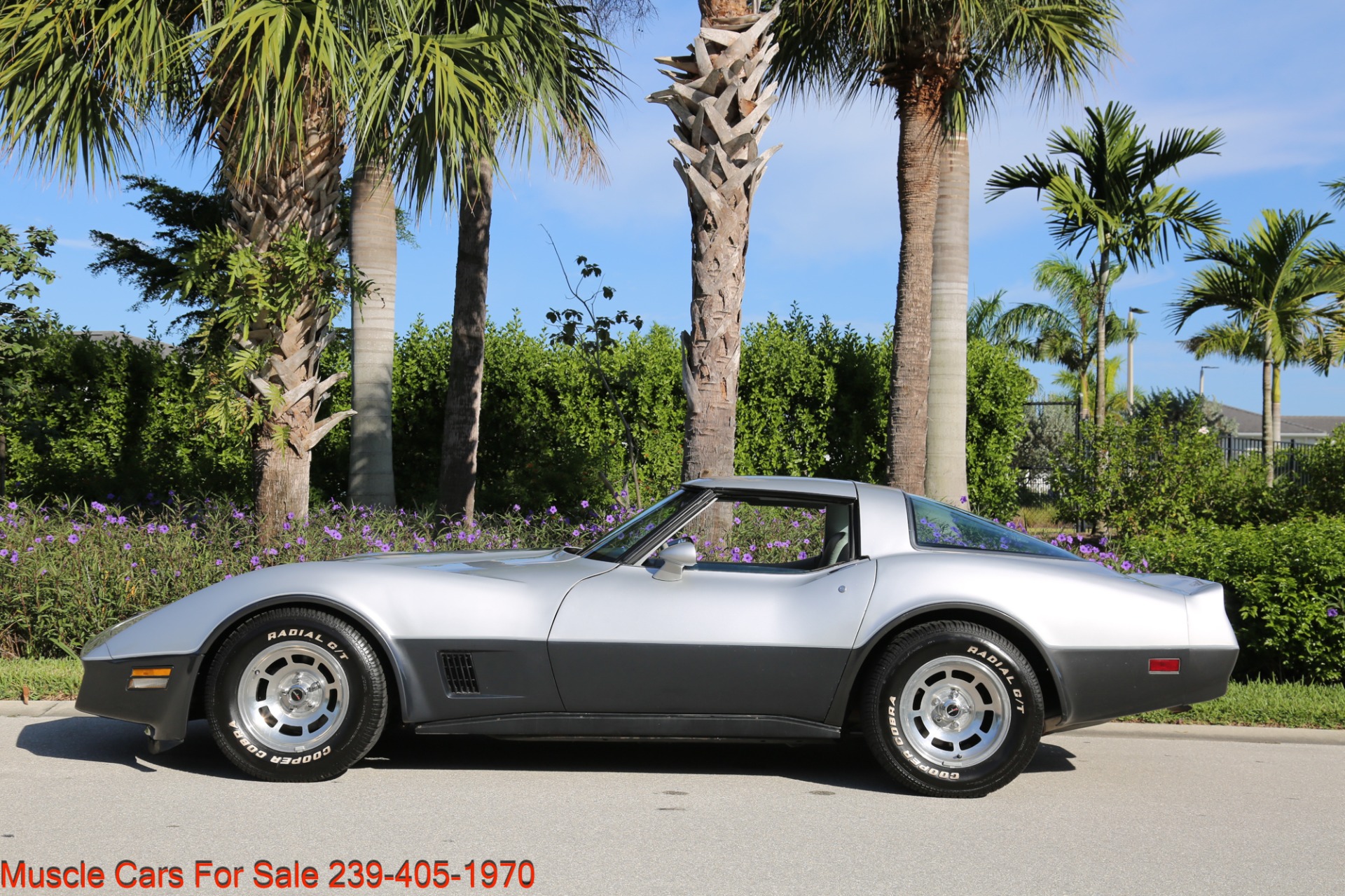 Used 1981 Chevrolet Corvette Corvette T Top for sale Sold at Muscle Cars for Sale Inc. in Fort Myers FL 33912 8